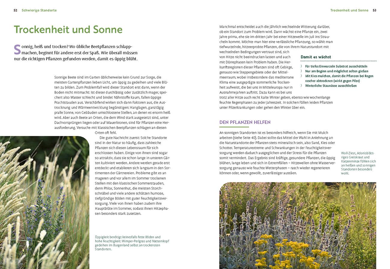 Beispielinhalt (Bild) Wächst nicht gibt's nicht