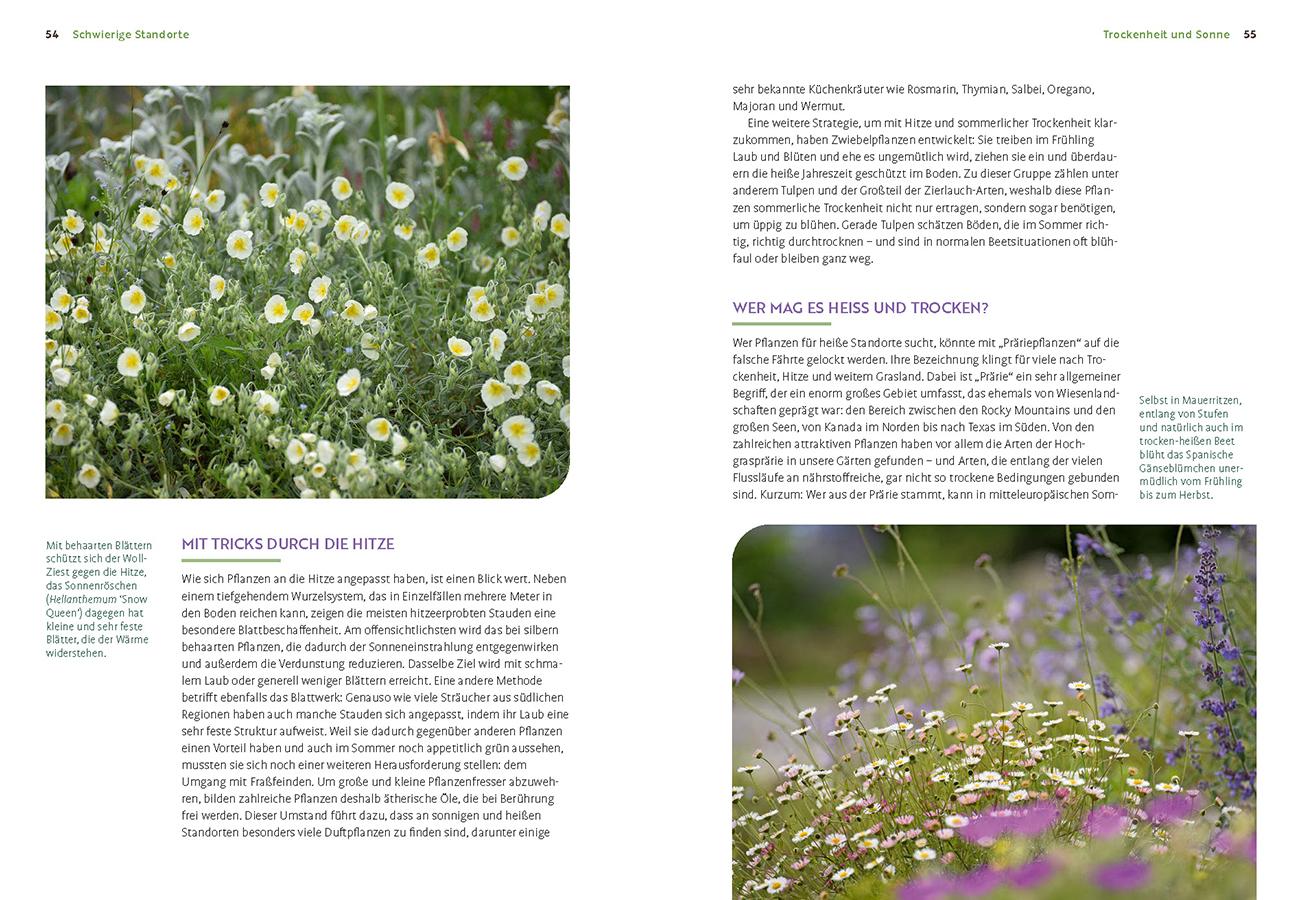 Beispielinhalt (Bild) Wächst nicht gibt's nicht