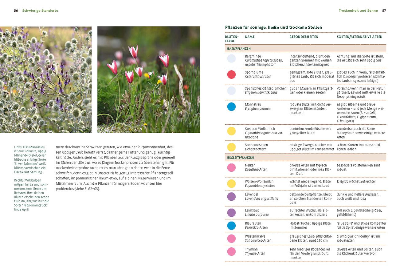 Beispielinhalt (Bild) Wächst nicht gibt's nicht