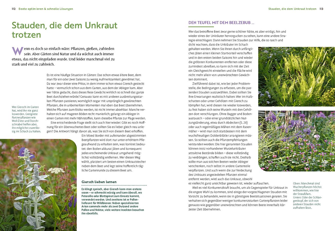 Beispielinhalt (Bild) Wächst nicht gibt's nicht