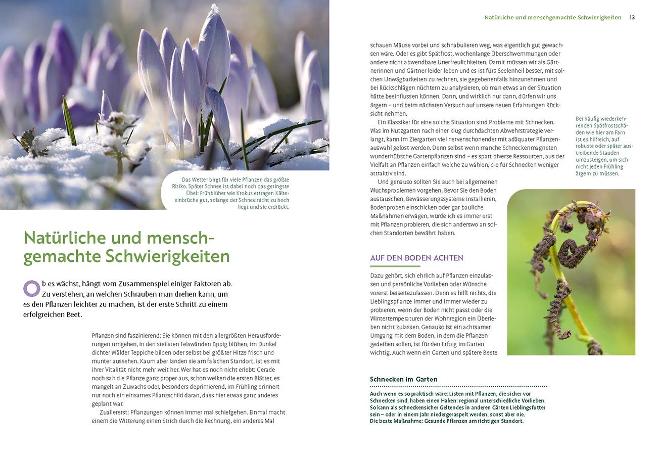 Beispielinhalt (Bild) Wächst nicht gibt's nicht