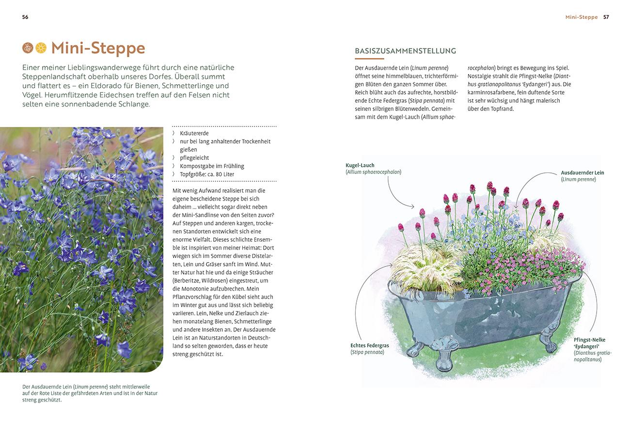 Beispielinhalt (Bild) Mein Garten wächst im Topf