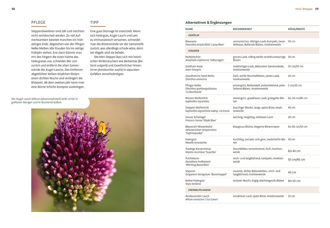 Beispielinhalt (Bild) Mein Garten wächst im Topf