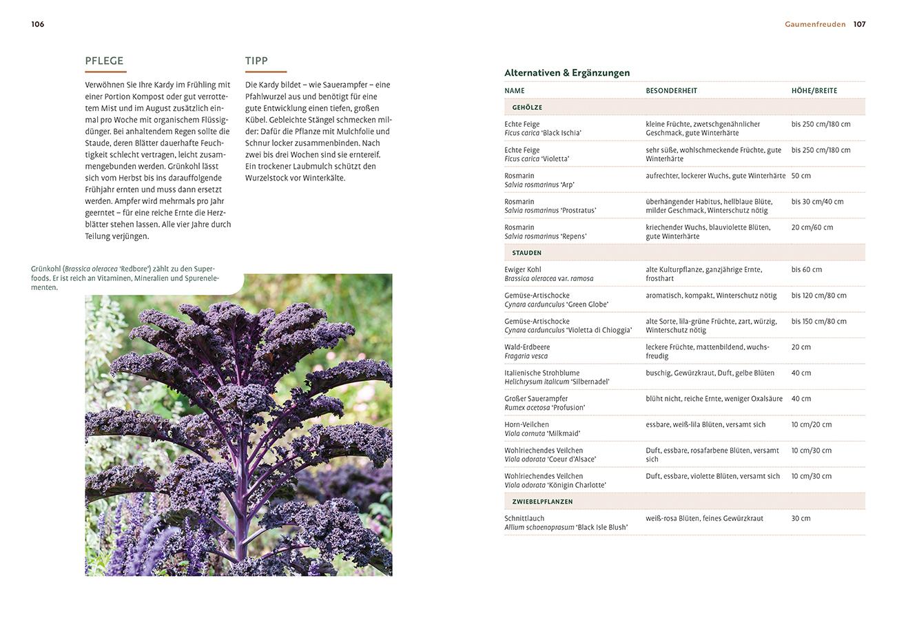 Beispielinhalt (Bild) Mein Garten wächst im Topf