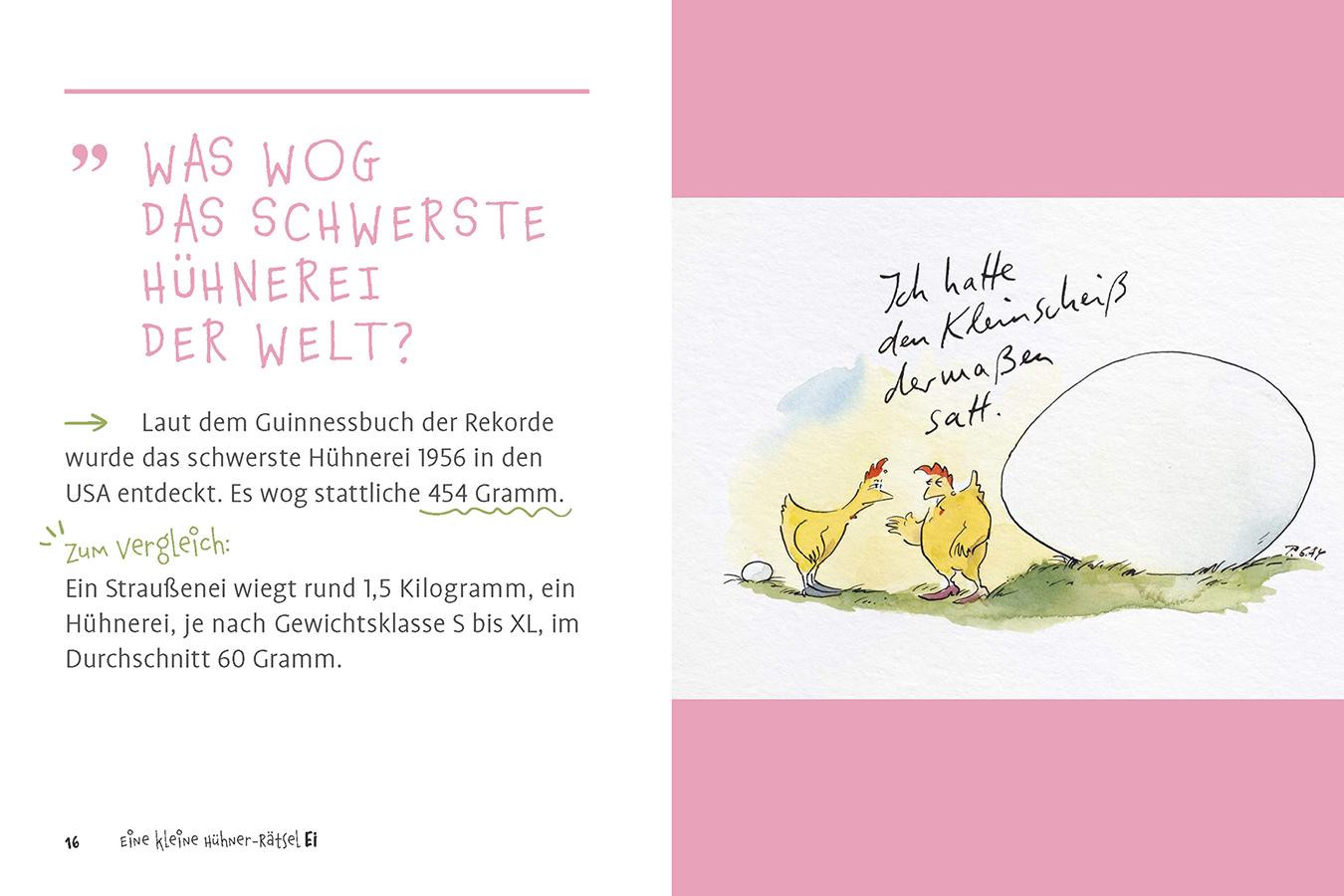 Beispielinhalt (Bild) Eine kleine Hühner-RätselEI