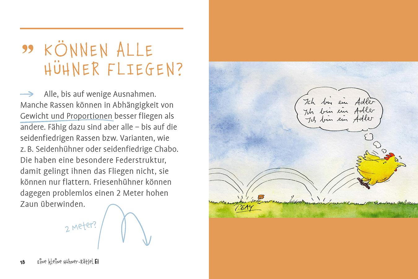 Beispielinhalt (Bild) Eine kleine Hühner-RätselEI