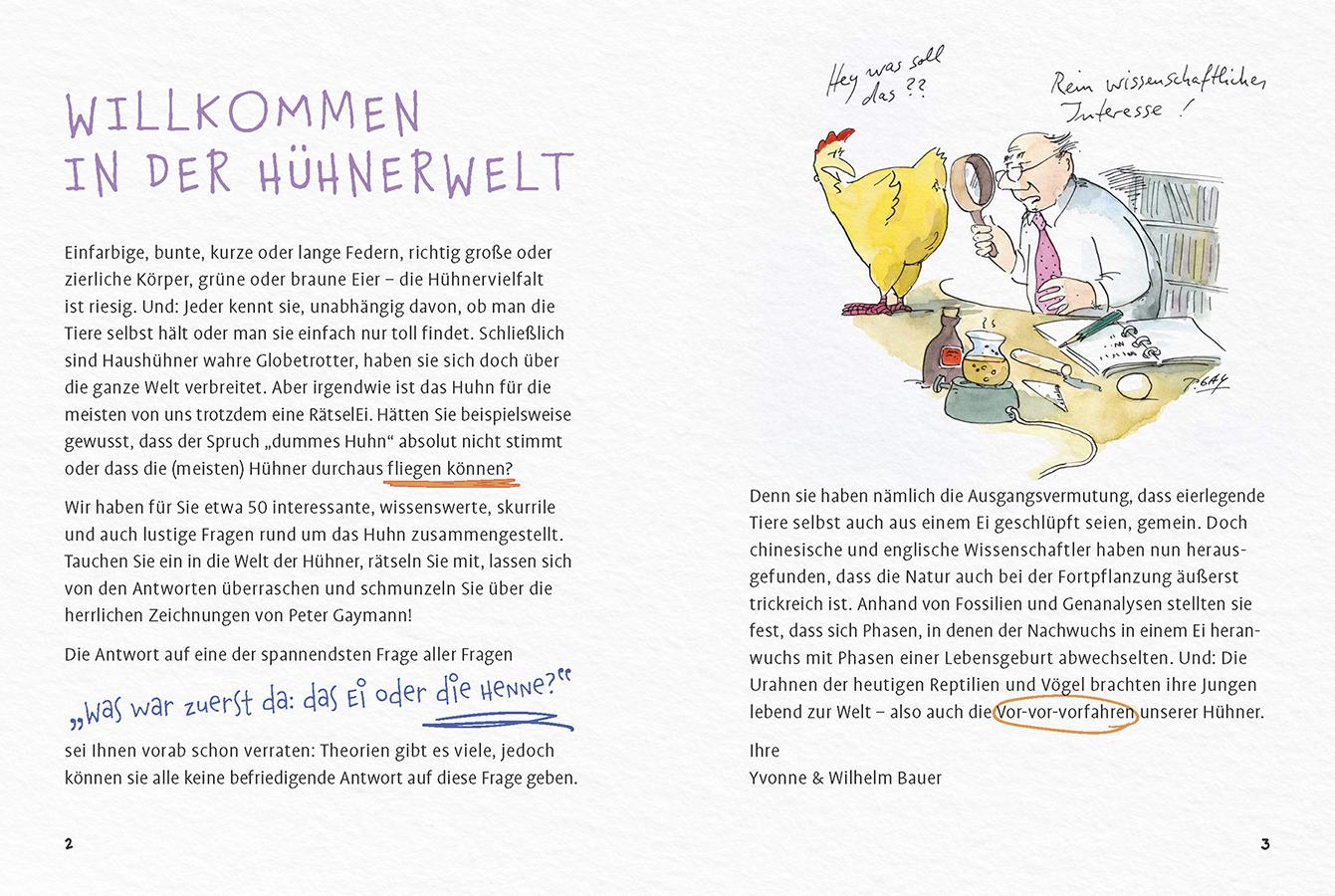 Beispielinhalt (Bild) Eine kleine Hühner-RätselEI