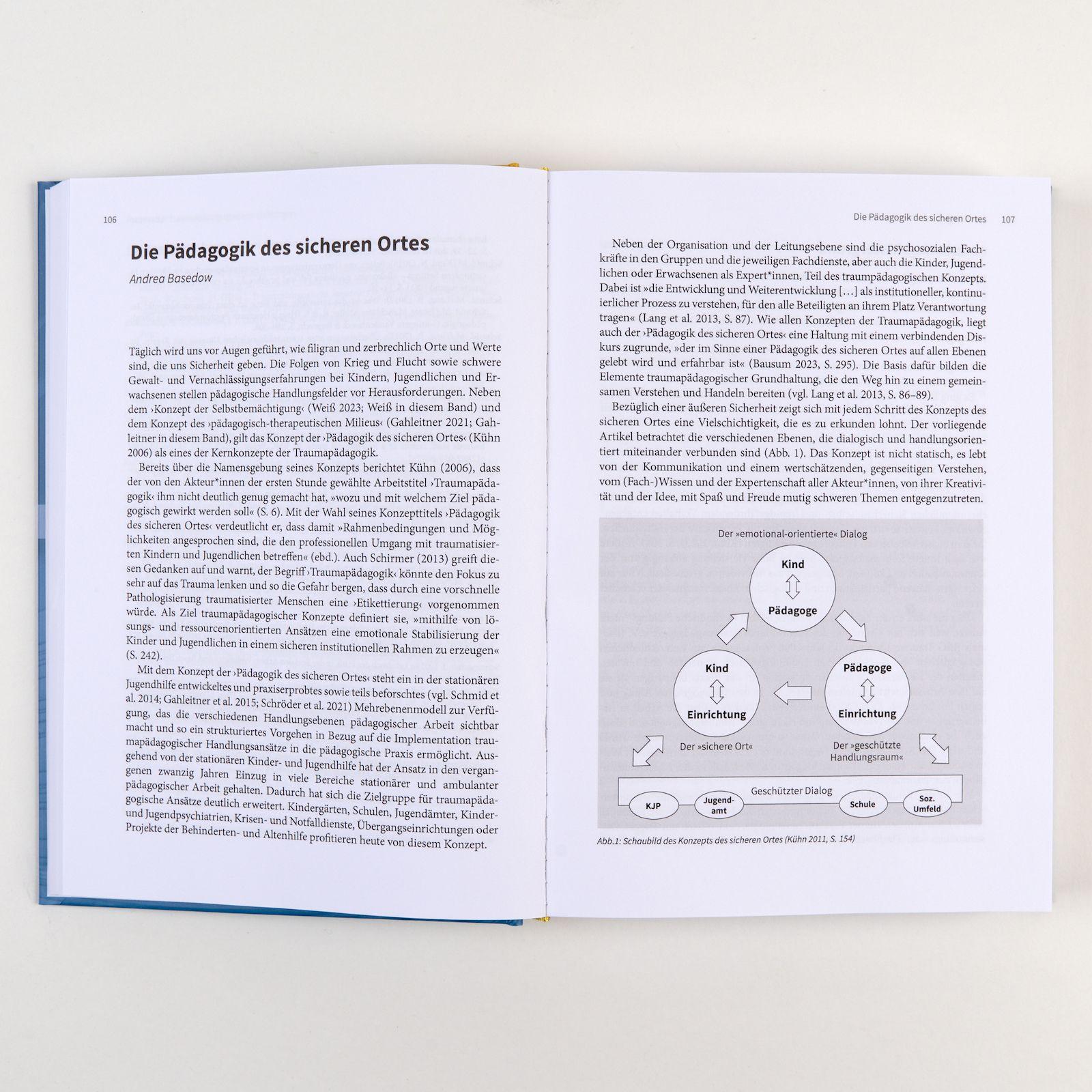 Beispielinhalt (Bild) Handbuch Traumapädagogik
