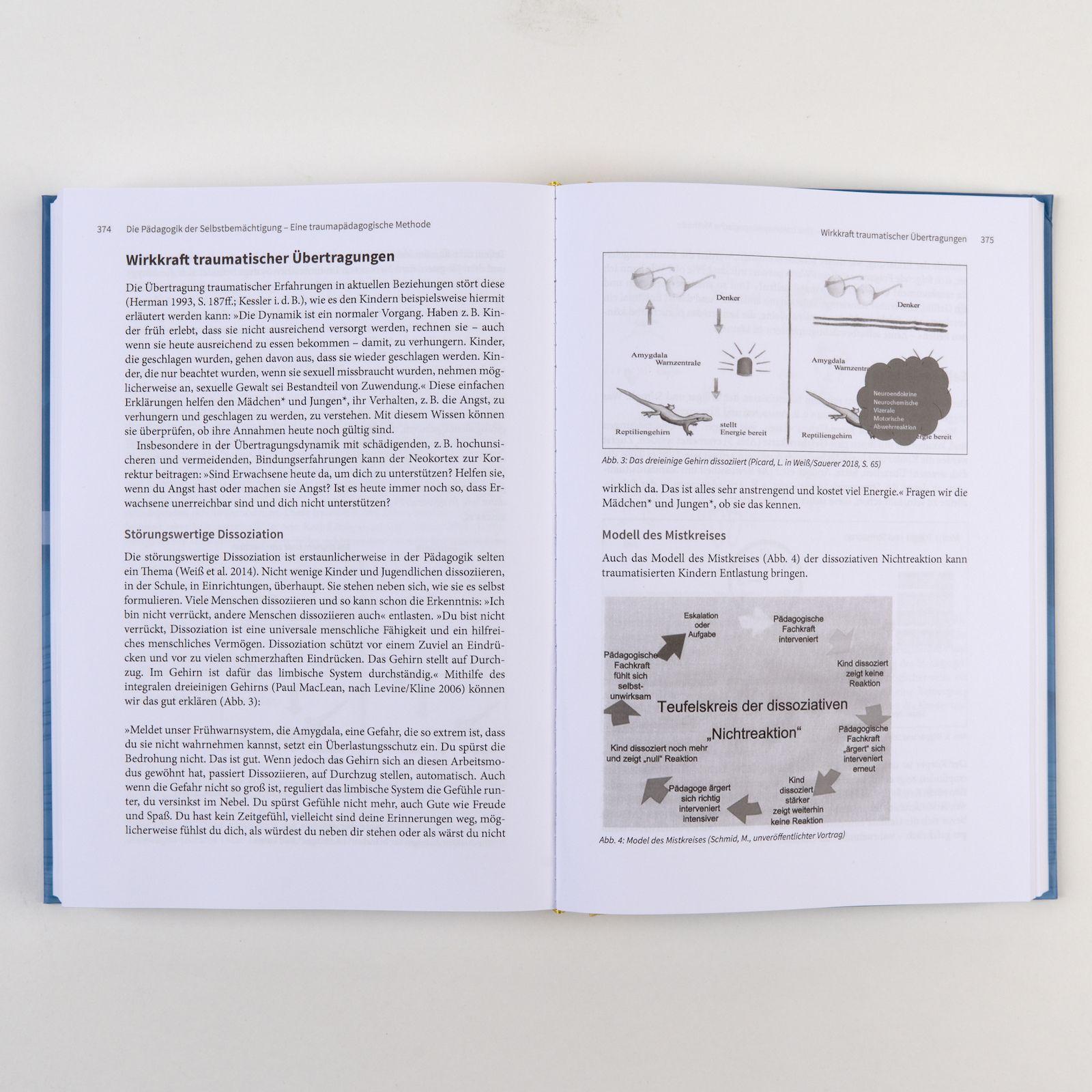 Beispielinhalt (Bild) Handbuch Traumapädagogik