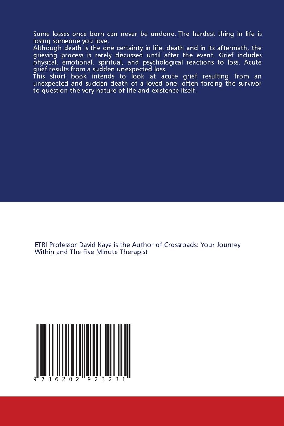 Rückseitencover Blame Gabriel: Acute Grief Following Death of a Loved One