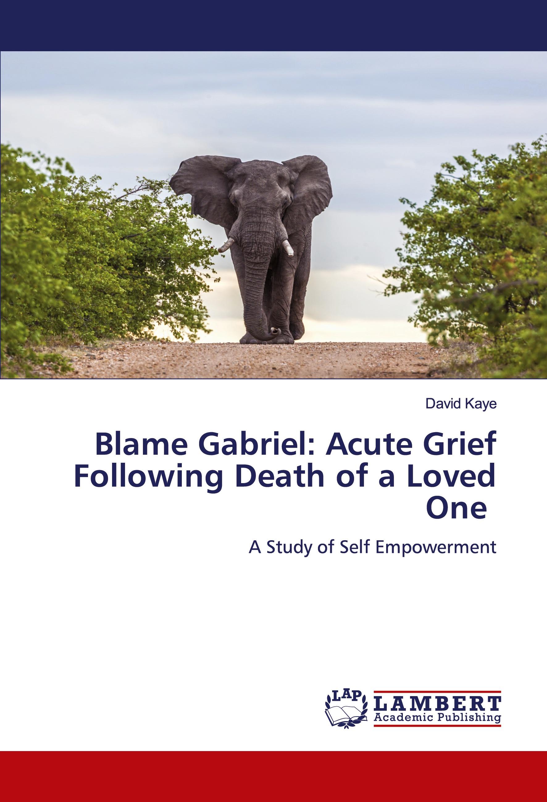 Vorderes Coverbild Blame Gabriel: Acute Grief Following Death of a Loved One