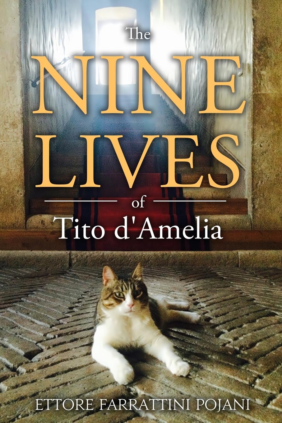 Vorderes Coverbild The Nine Lives of Tito d'Amelia