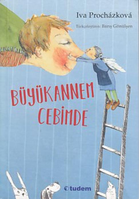 Vorderes Coverbild Büyükannem Cebimde