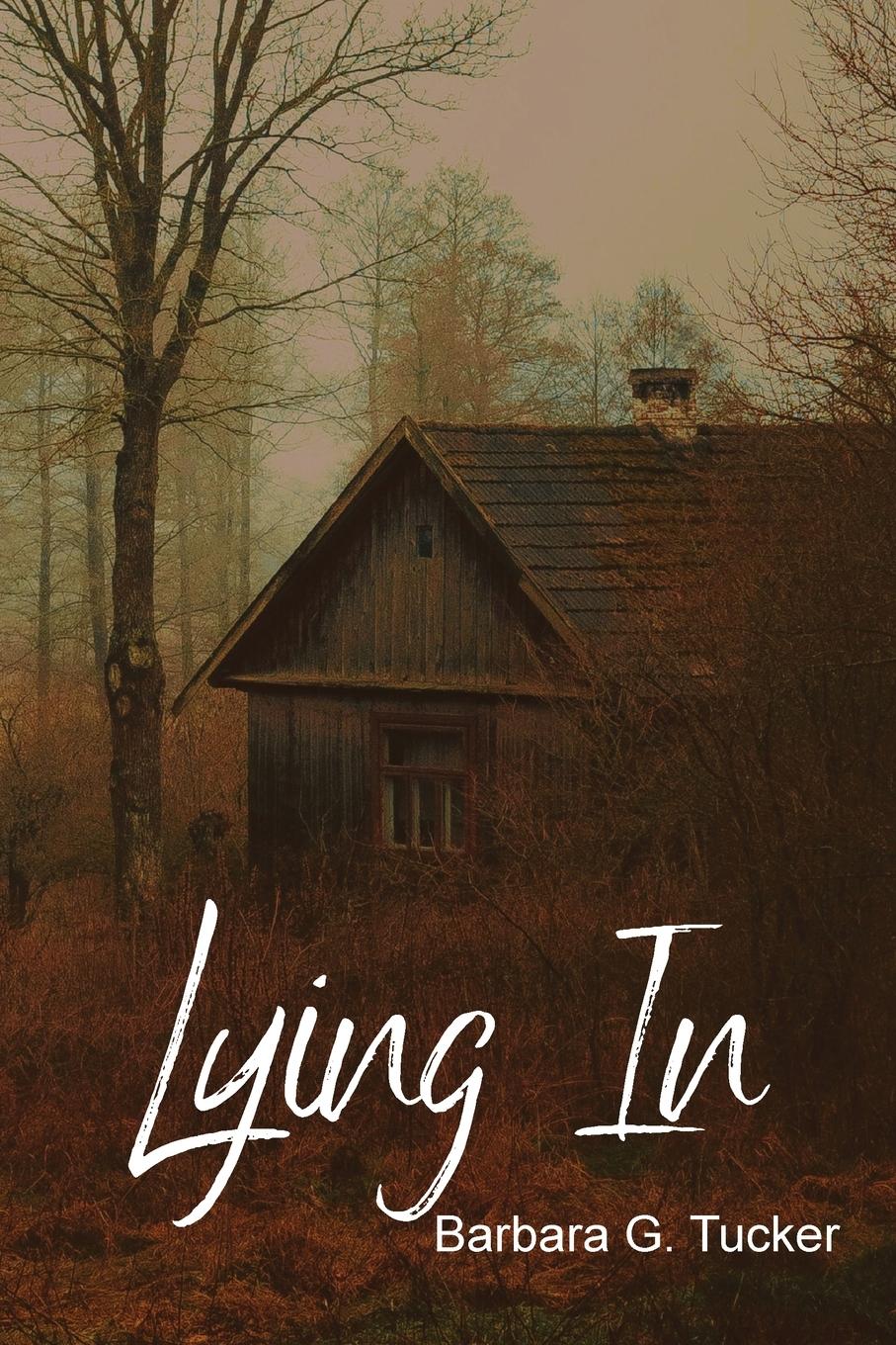 Vorderes Coverbild Lying In