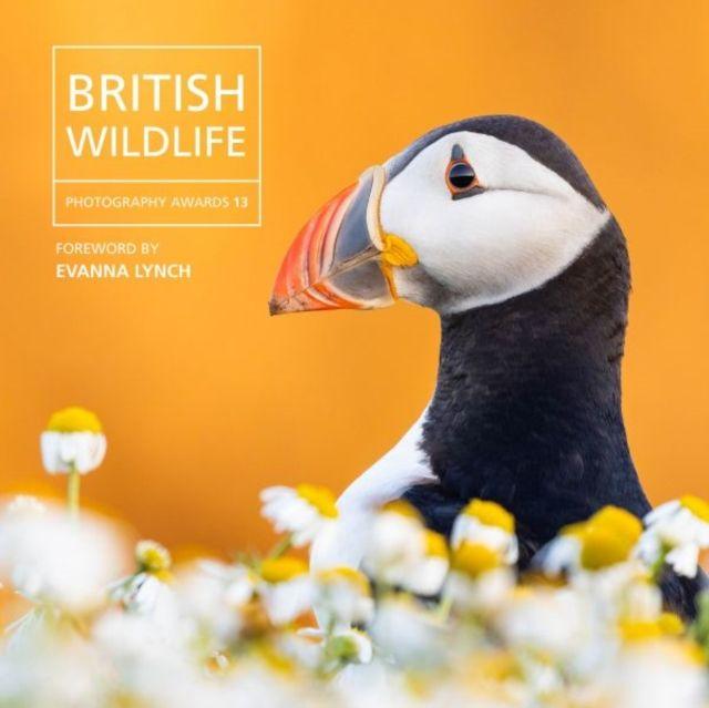 Vorderes Coverbild British Wildlife Photography Awards 13