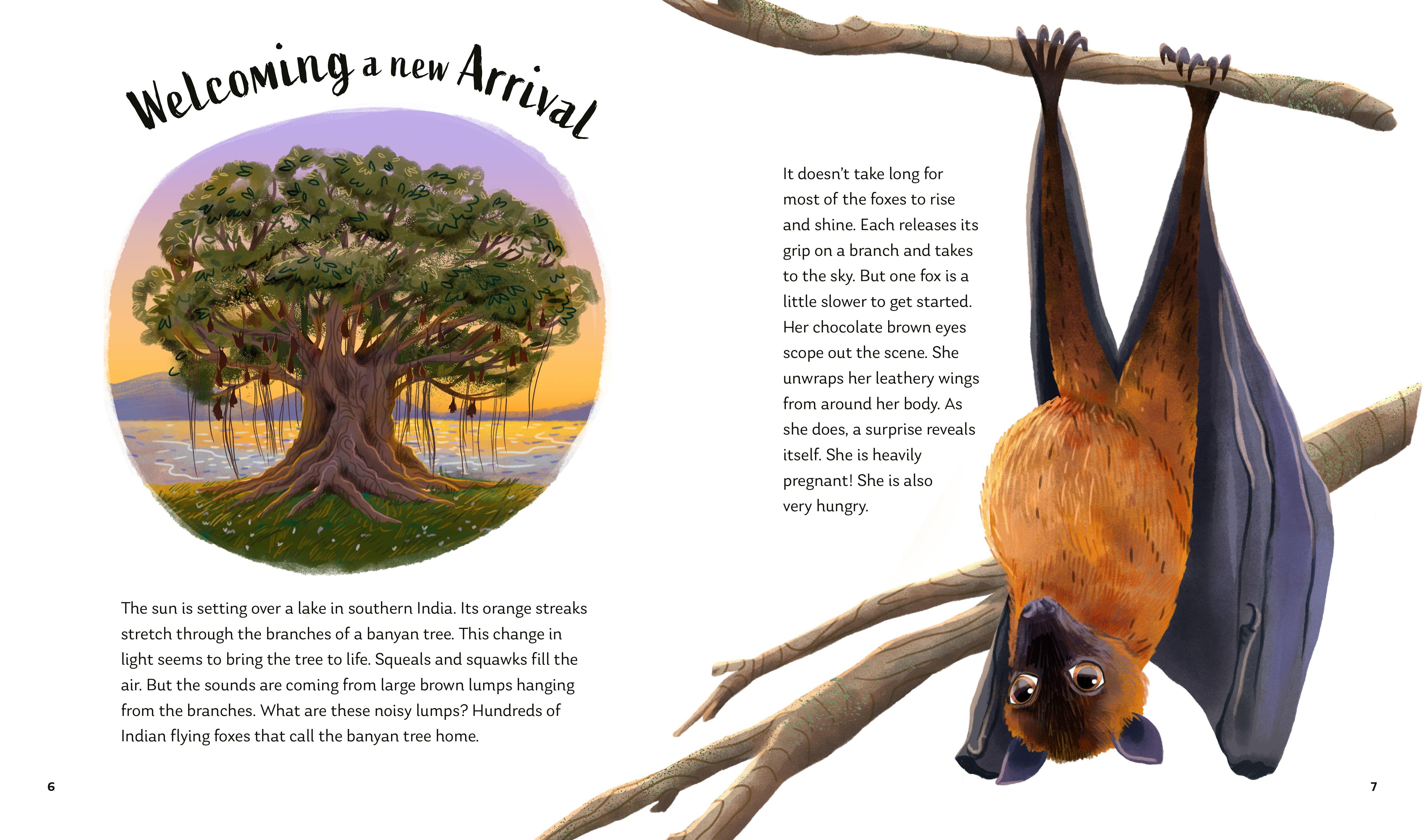 Beispielinhalt (Bild) Secrets of the Stars