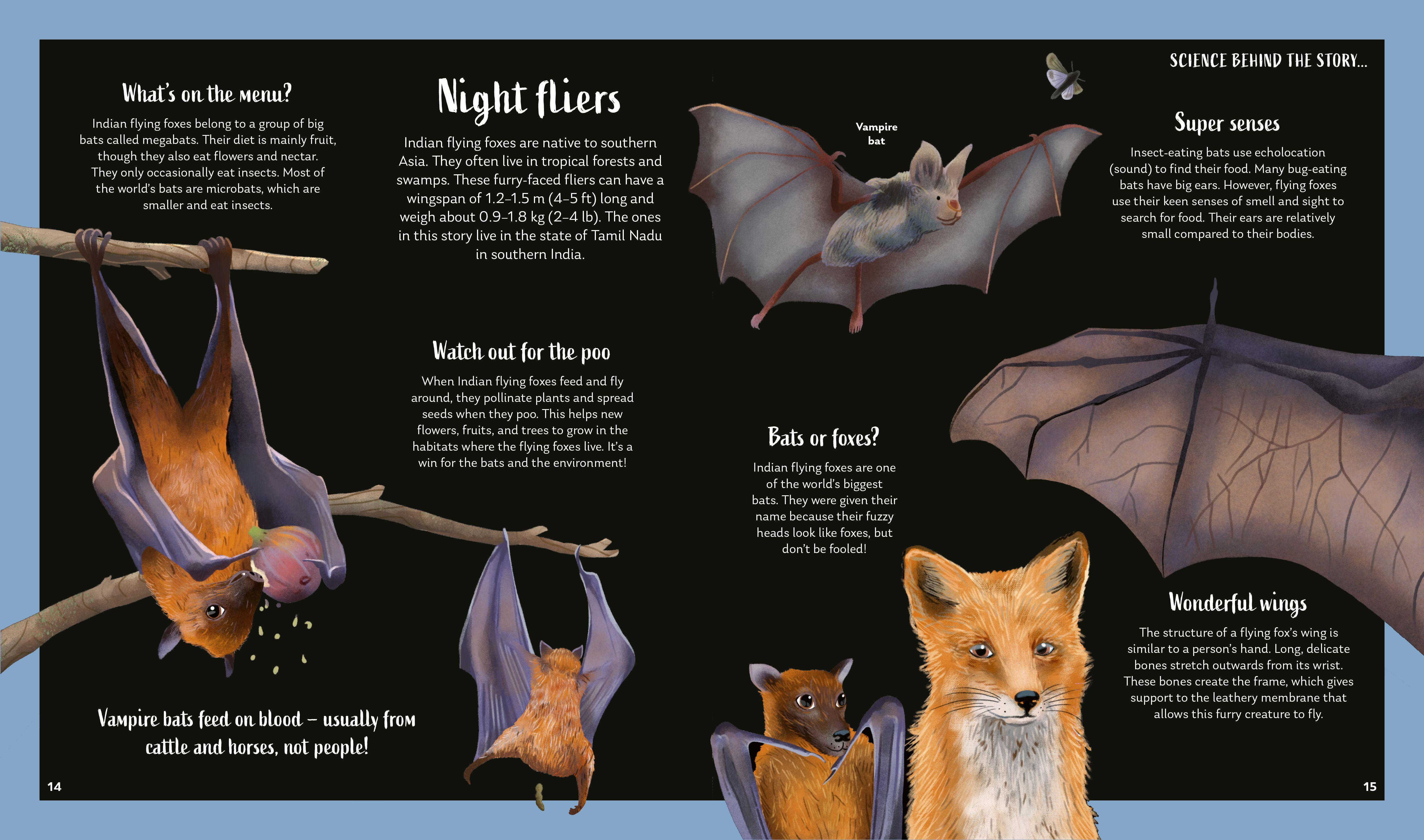 Beispielinhalt (Bild) Secrets of the Stars