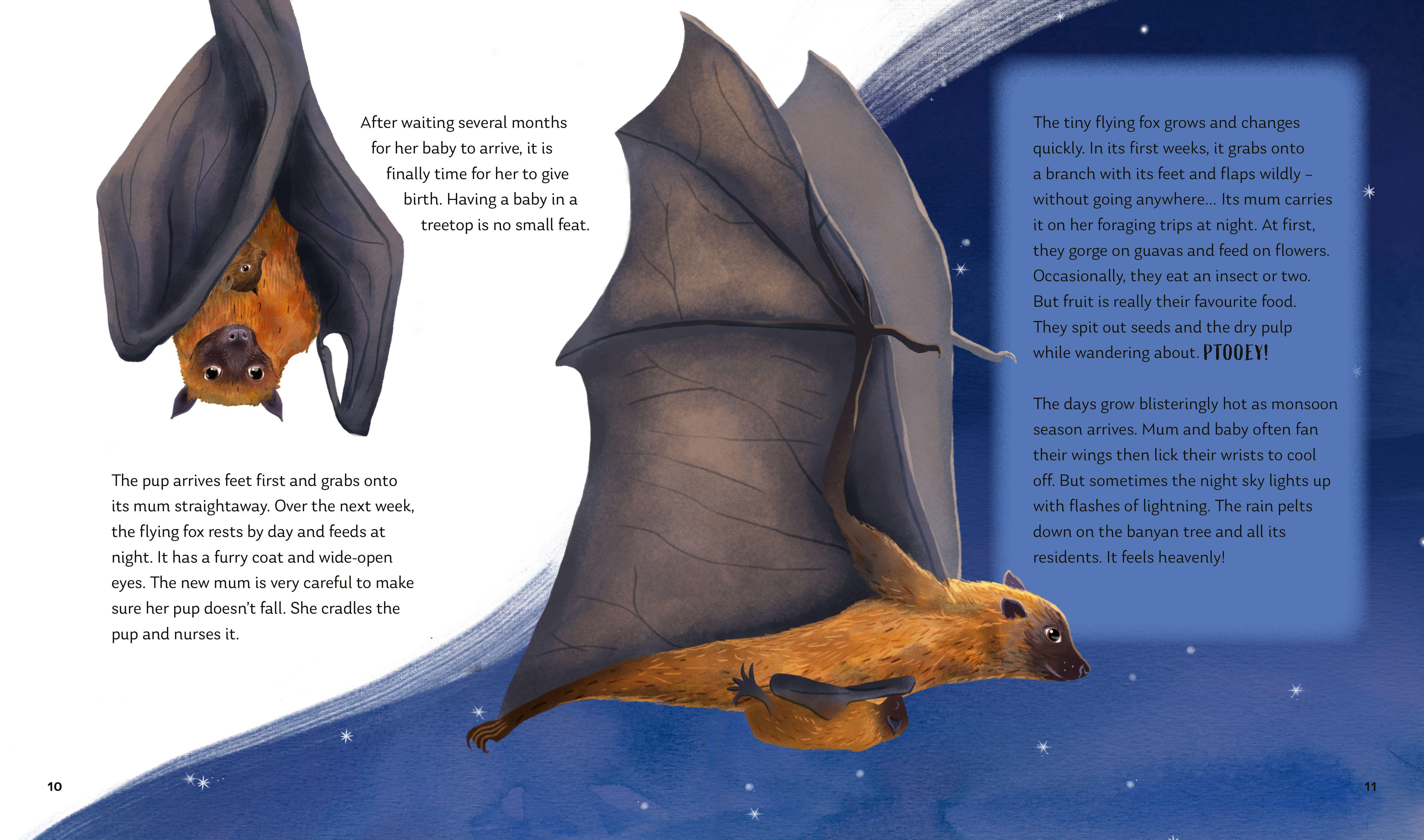 Beispielinhalt (Bild) Secrets of the Stars