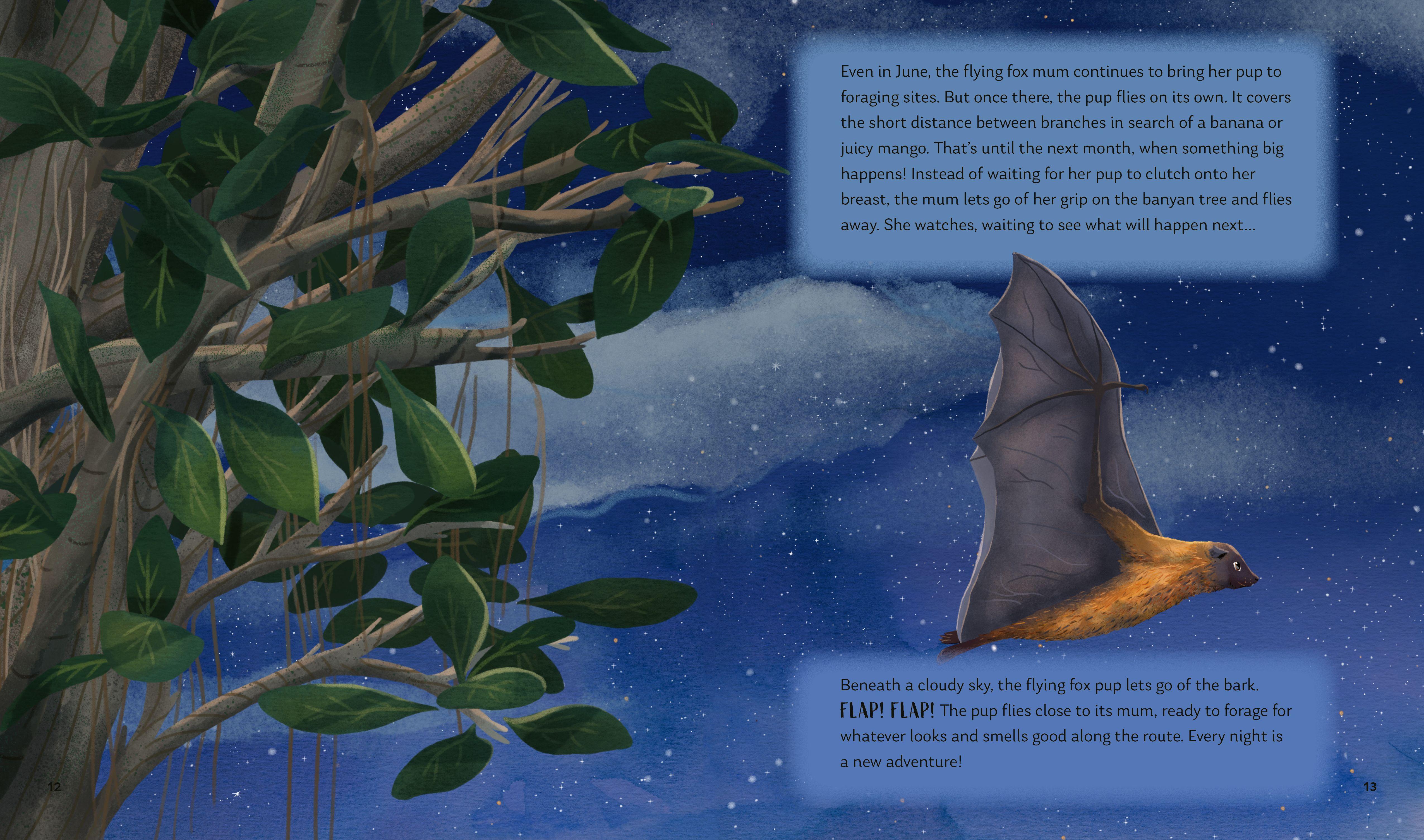 Beispielinhalt (Bild) Secrets of the Stars