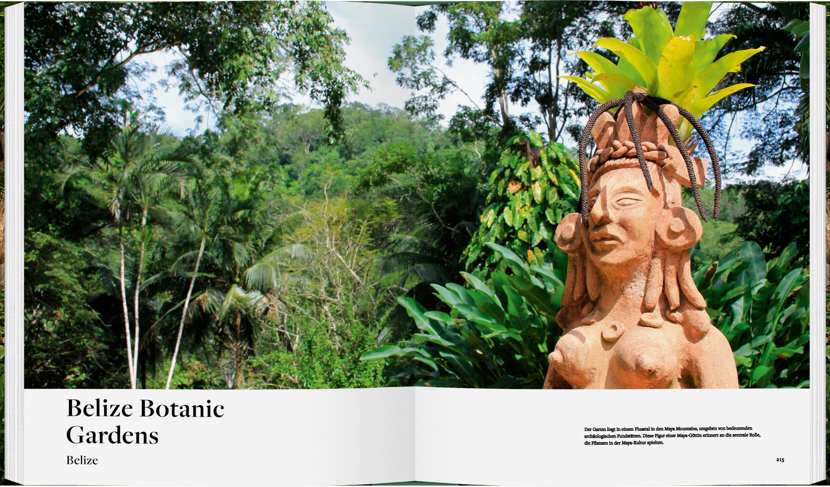 Beispielinhalt (Bild) Botanische Gärten