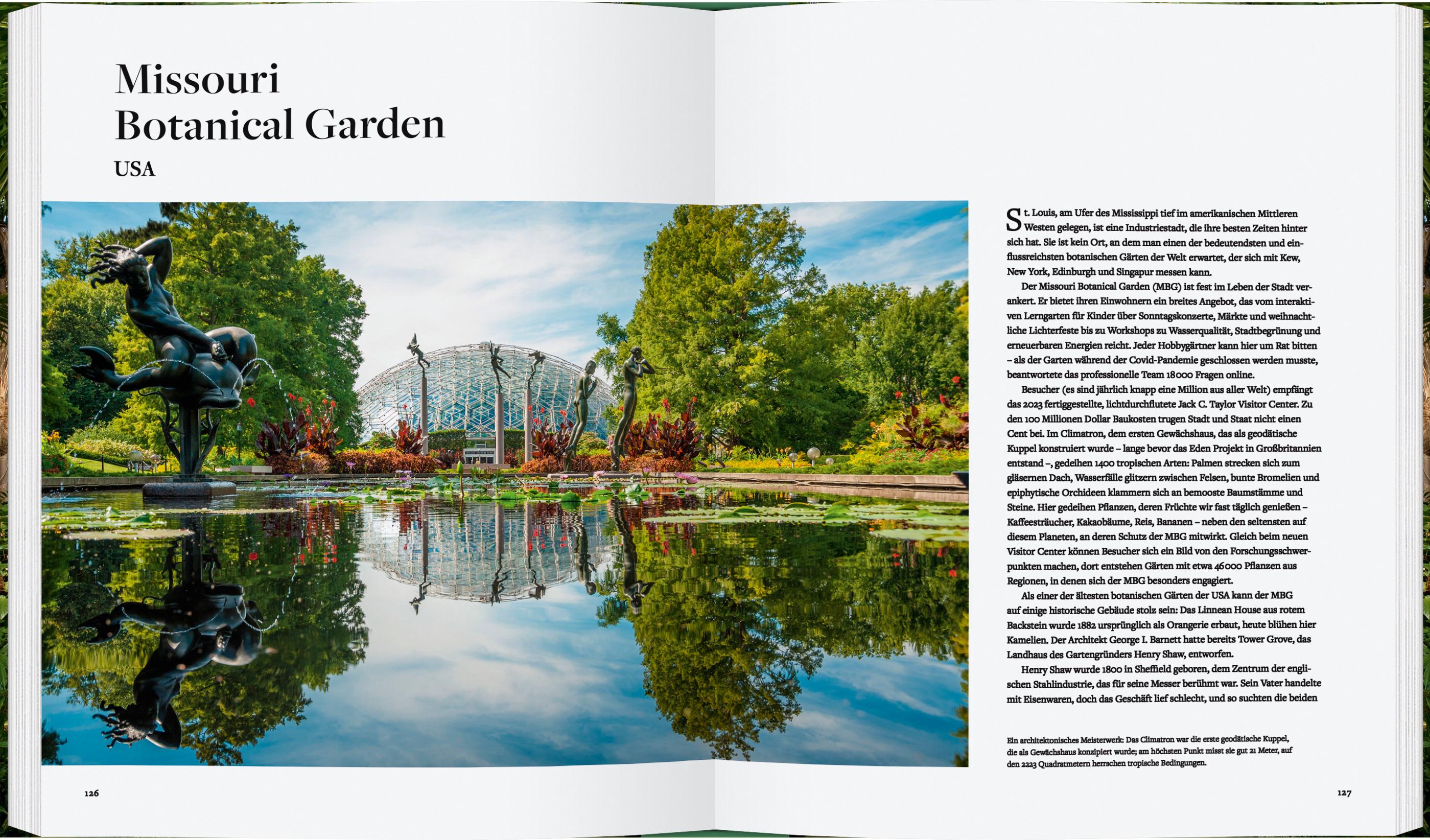 Beispielinhalt (Bild) Botanische Gärten