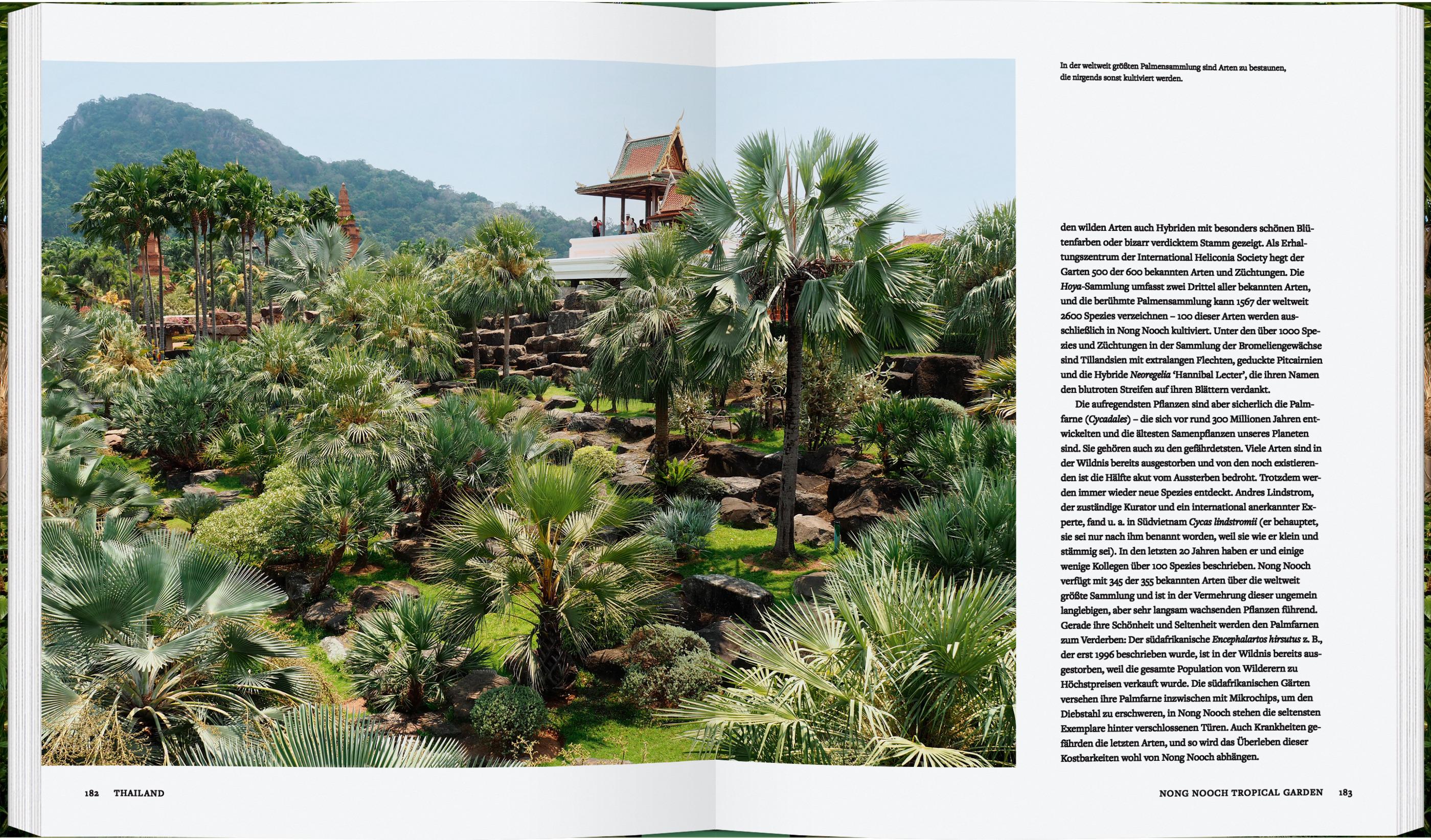 Beispielinhalt (Bild) Botanische Gärten