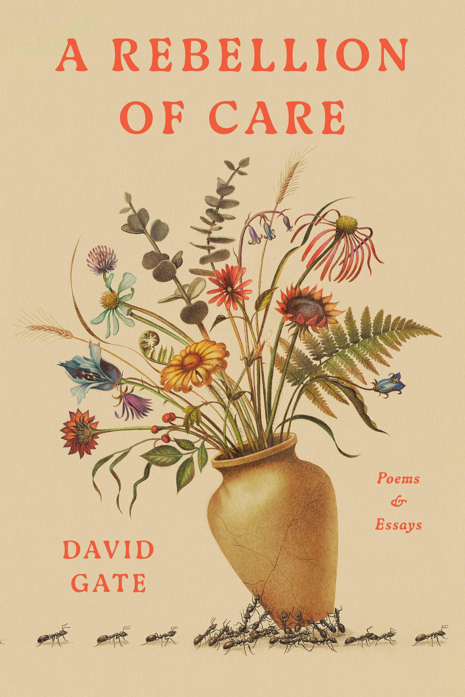 Vorderes Coverbild A Rebellion of Care