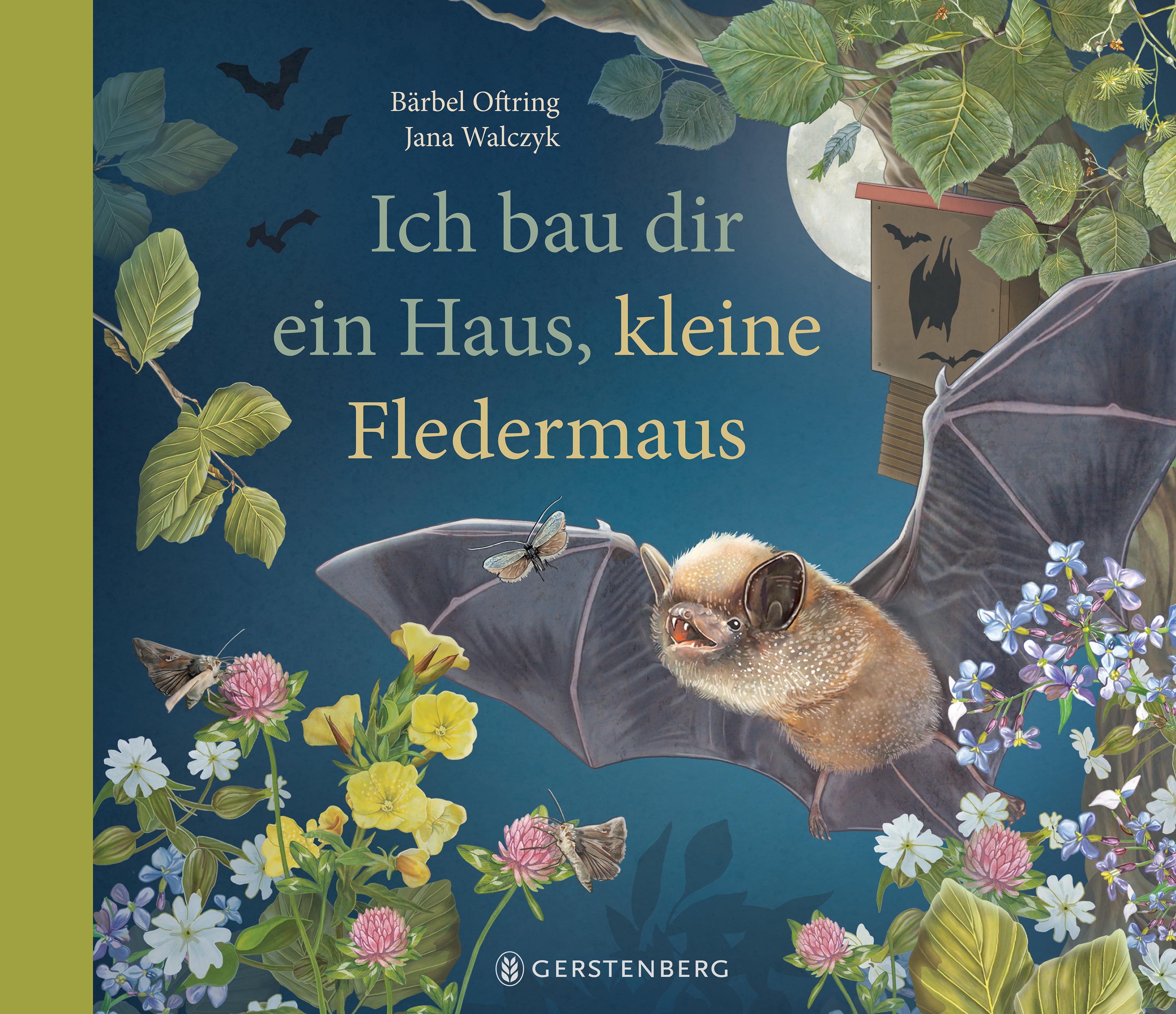 Vorderes Coverbild Ich bau dir ein Haus, kleine Fledermaus
