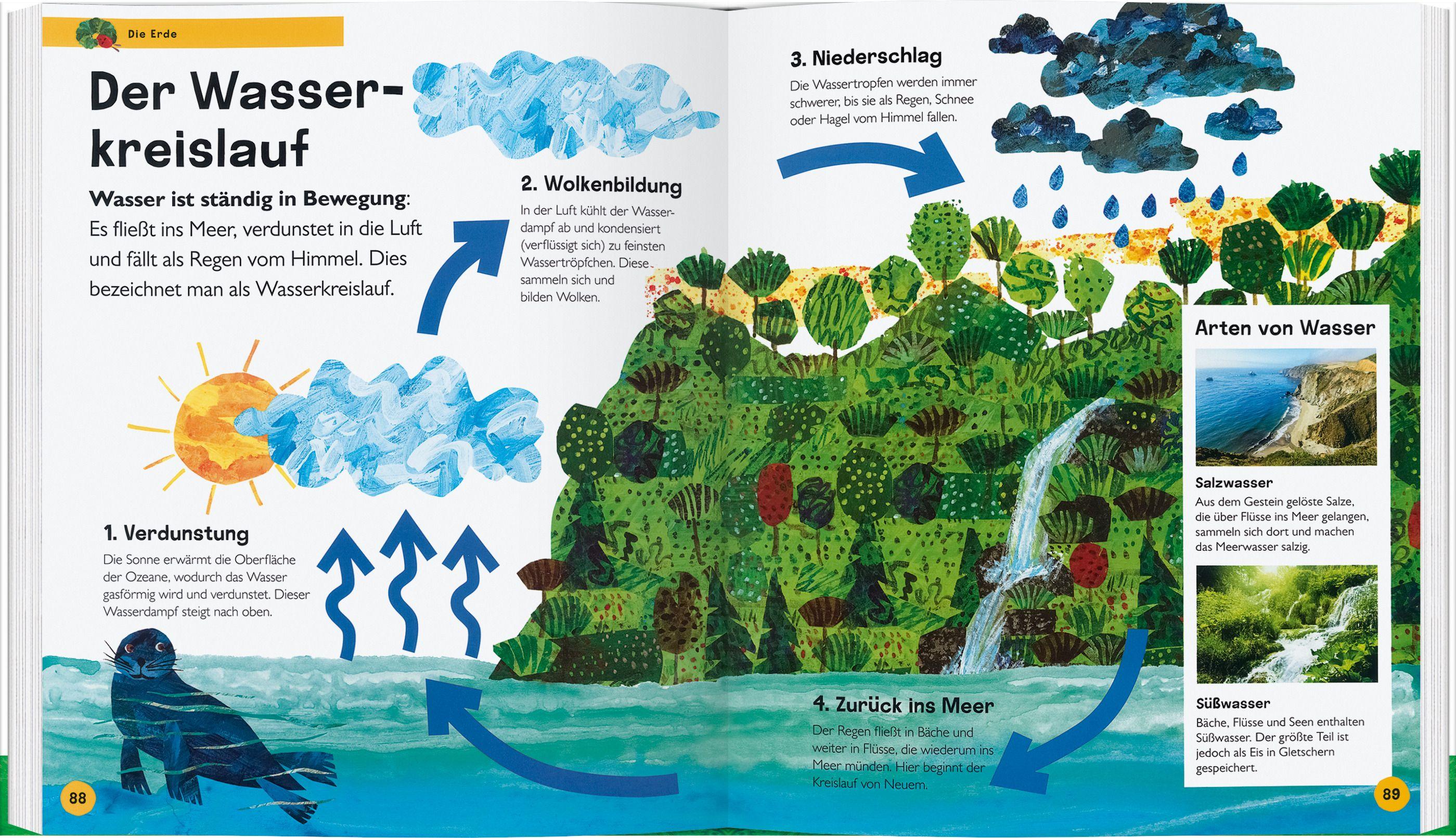 Beispielinhalt (Bild) Die kleine Raupe Nimmersatt - Mein Lexikon