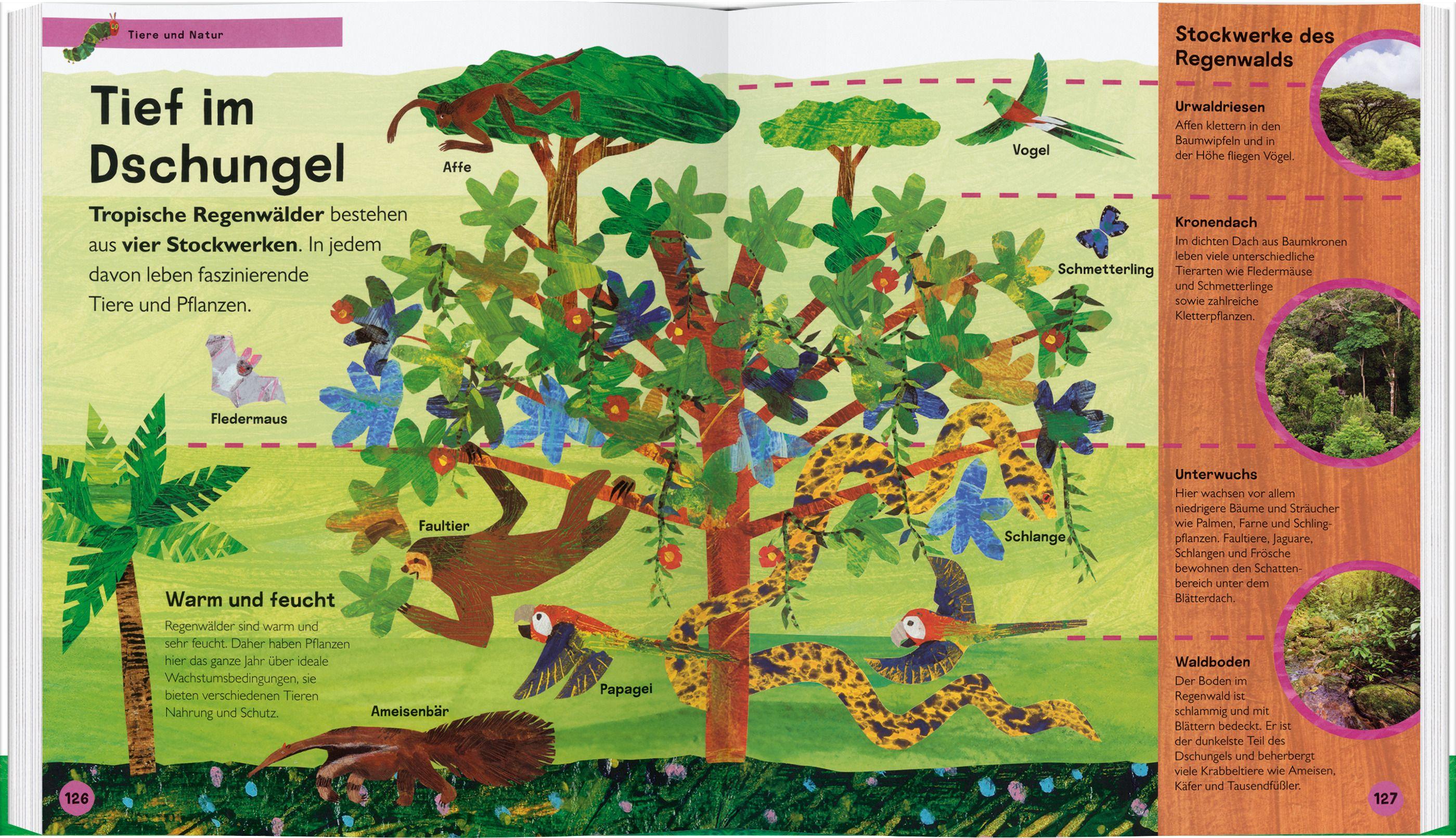 Beispielinhalt (Bild) Die kleine Raupe Nimmersatt - Mein Lexikon