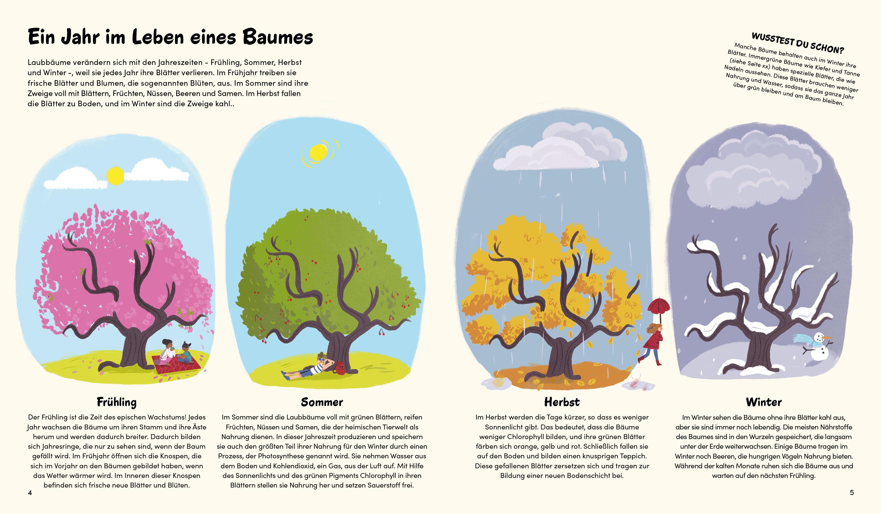 Beispielinhalt (Bild) Das kleine Buch der Bäume