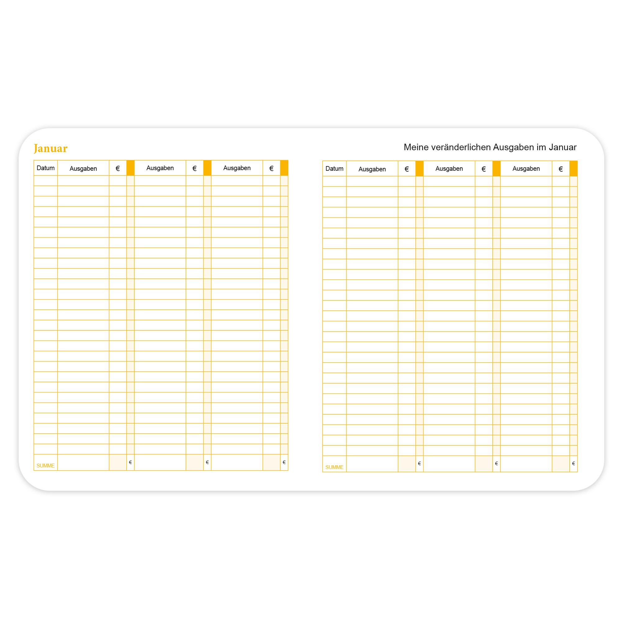 Beispielinhalt (Bild) Mein Haushaltsbuch: Eintragbuch mit Reißverschluss