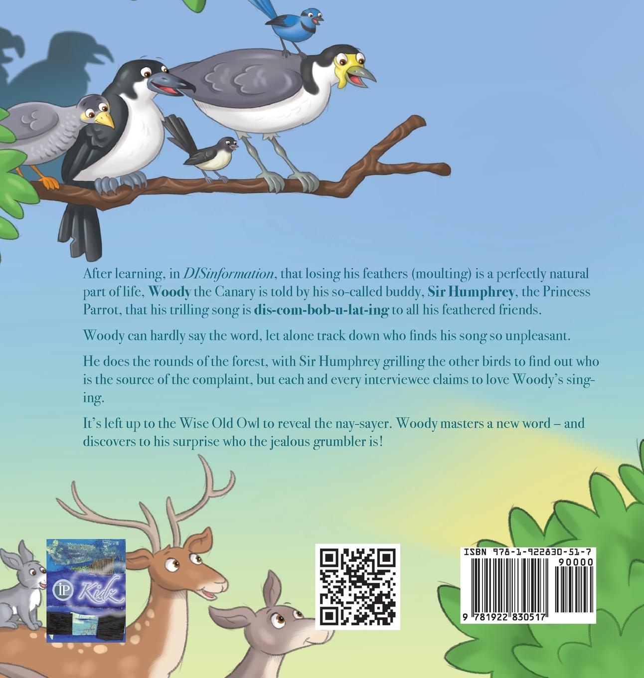 Rückseitencover DIScombobulation