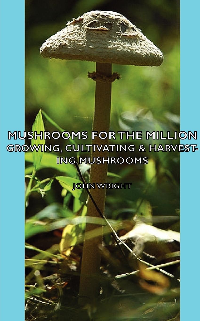 Vorderes Coverbild Mushrooms for the Million - Growing, Cultivating & Harvesting Mushrooms