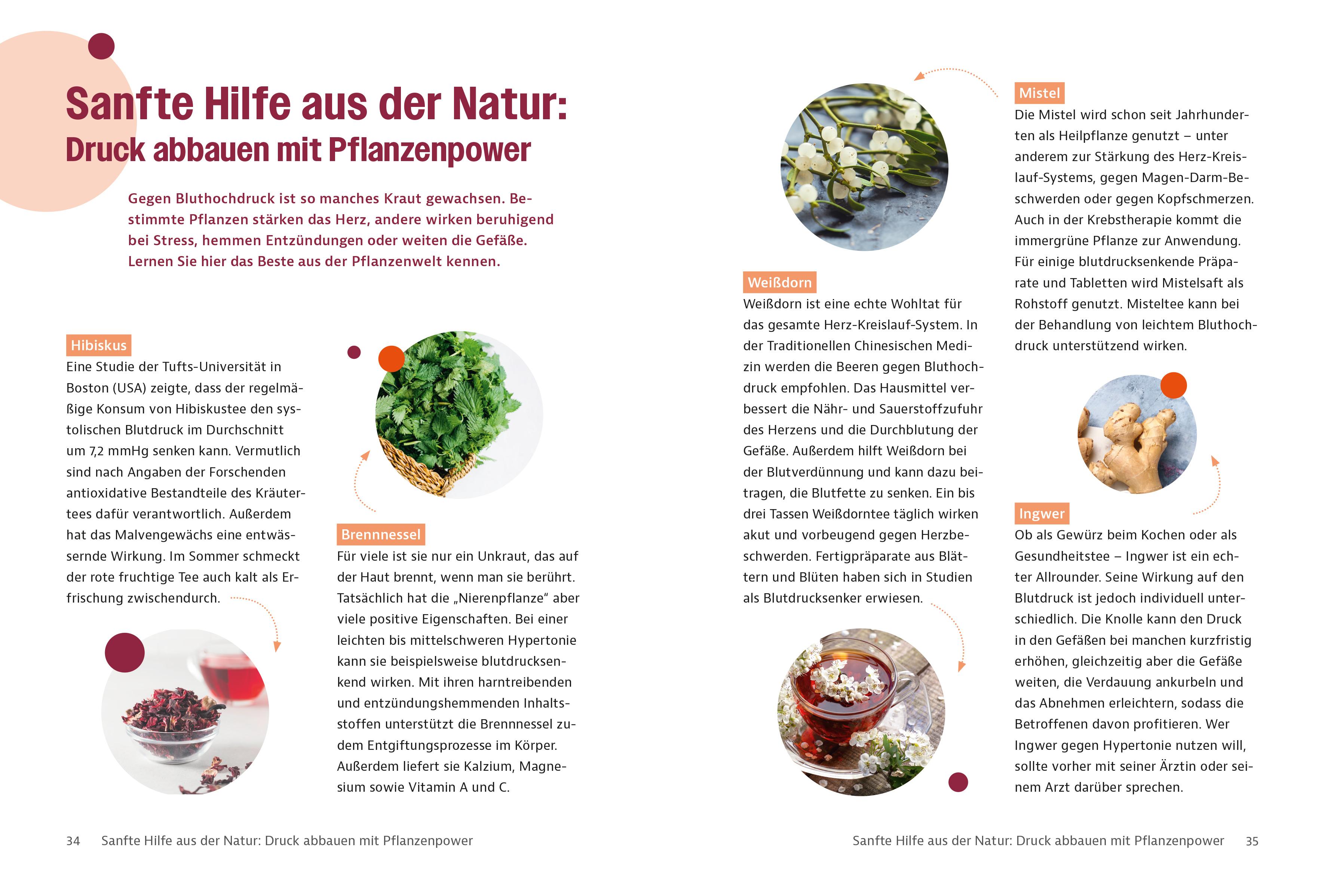 Beispielinhalt (Bild) Gesund mit Visite - Bluthochdruck