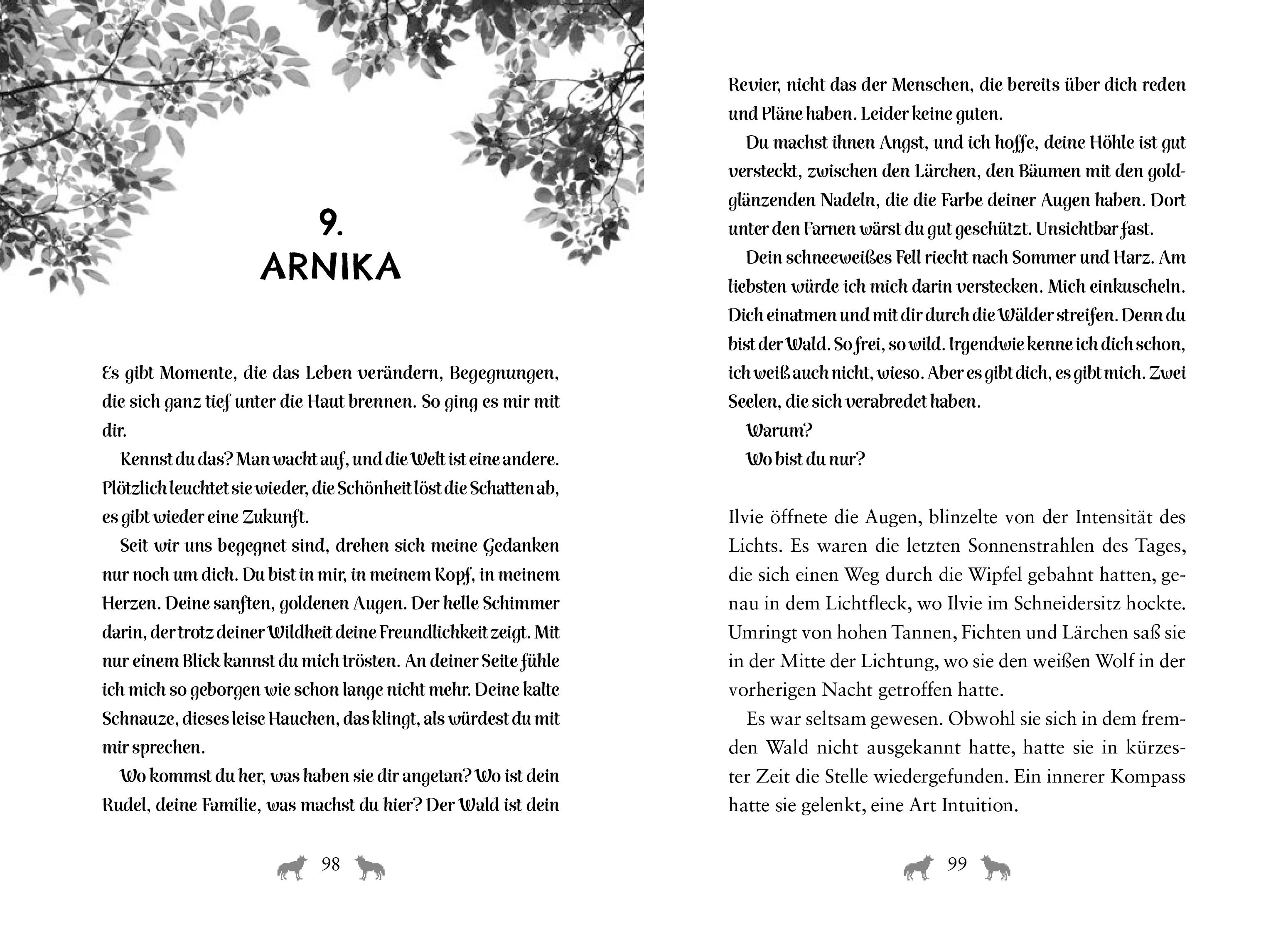 Beispielinhalt (Bild) Ilvie und der weiße Wolf