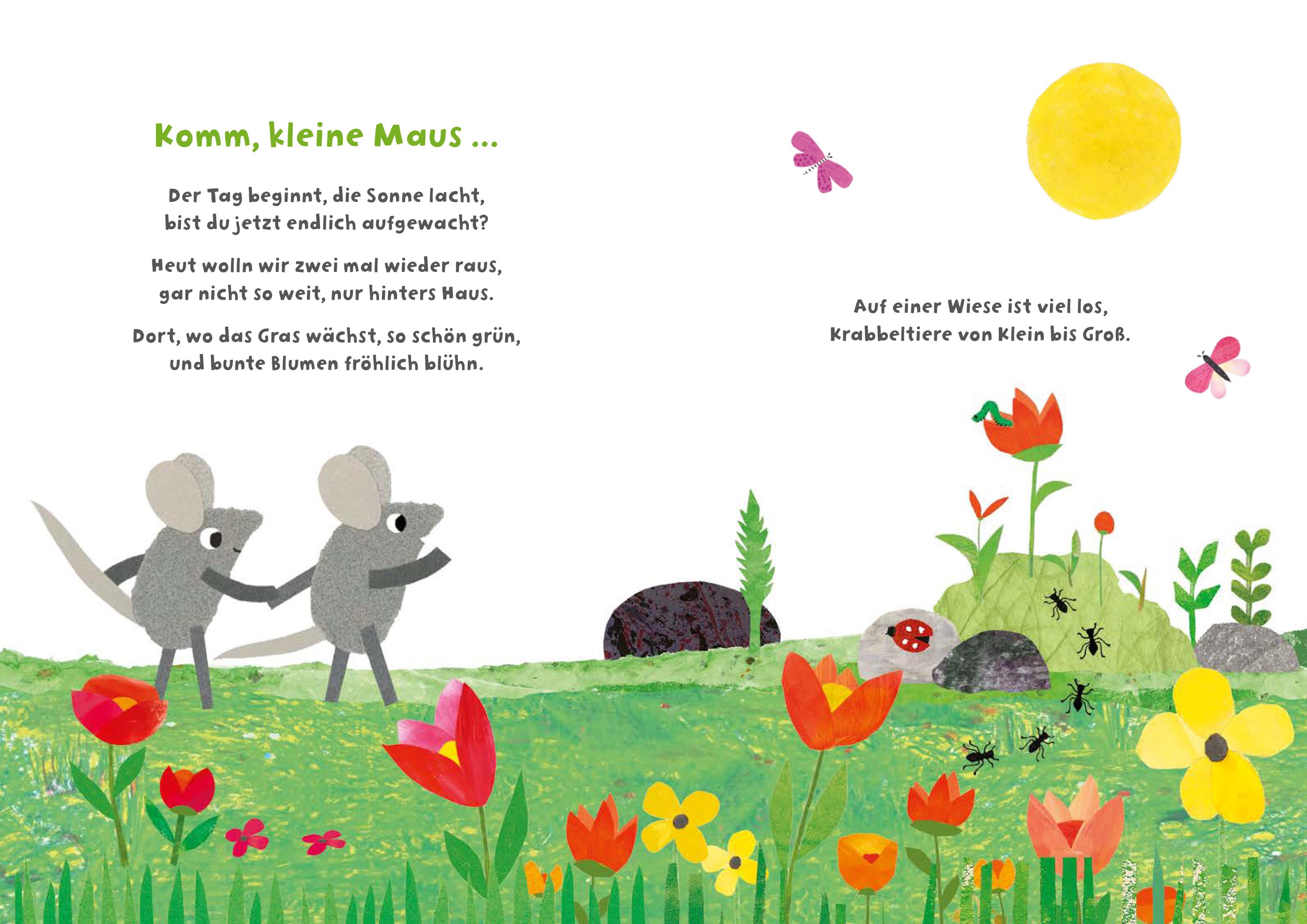 Beispielinhalt (Bild) Frederick und seine Freunde - Komm, wir erkunden die Wiese