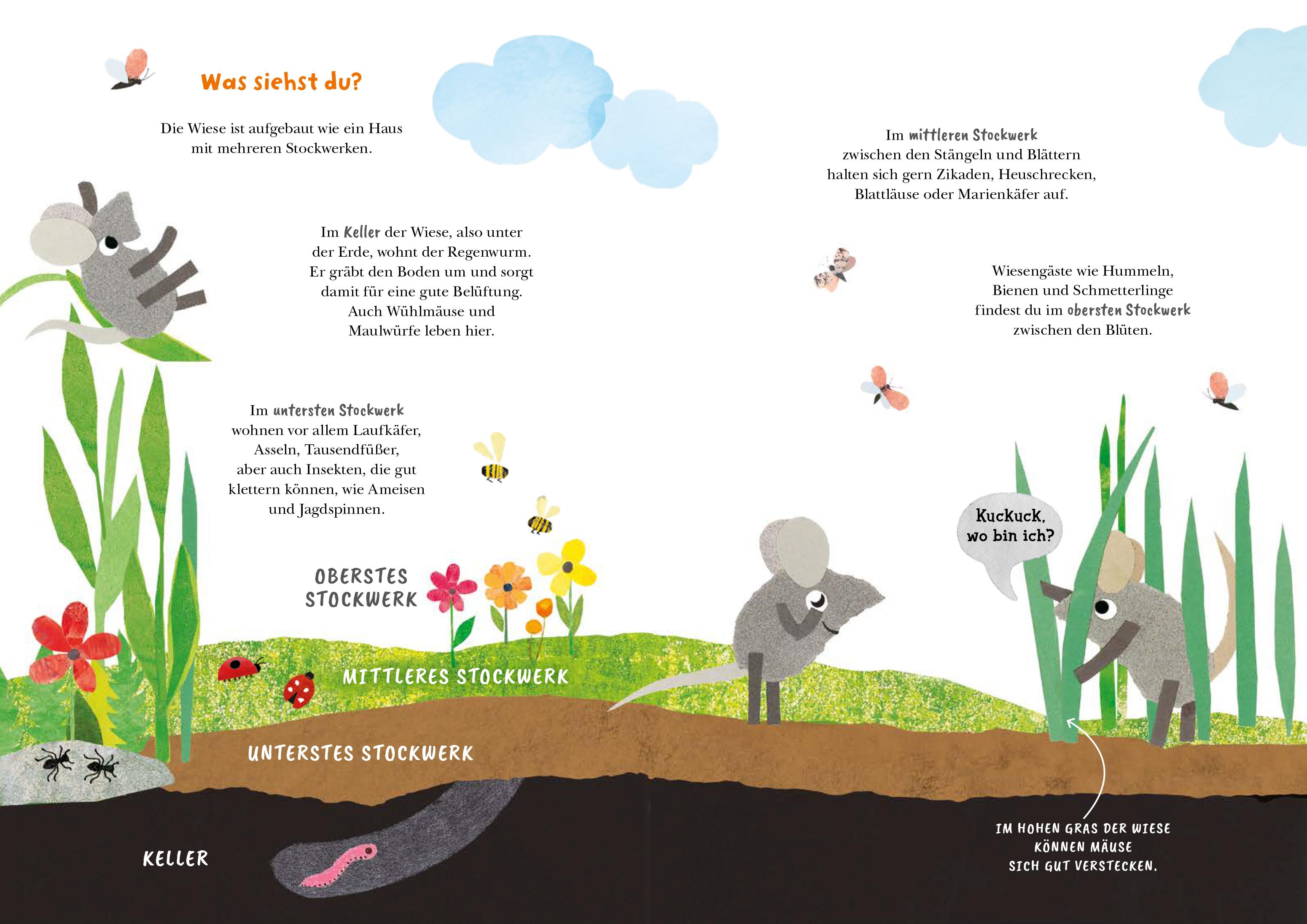 Beispielinhalt (Bild) Frederick und seine Freunde - Komm, wir erkunden die Wiese