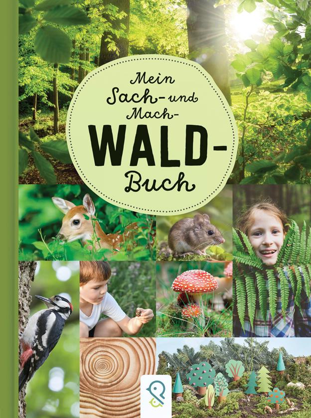 Vorderes Coverbild Mein Sach- und Mach-Wald-Buch