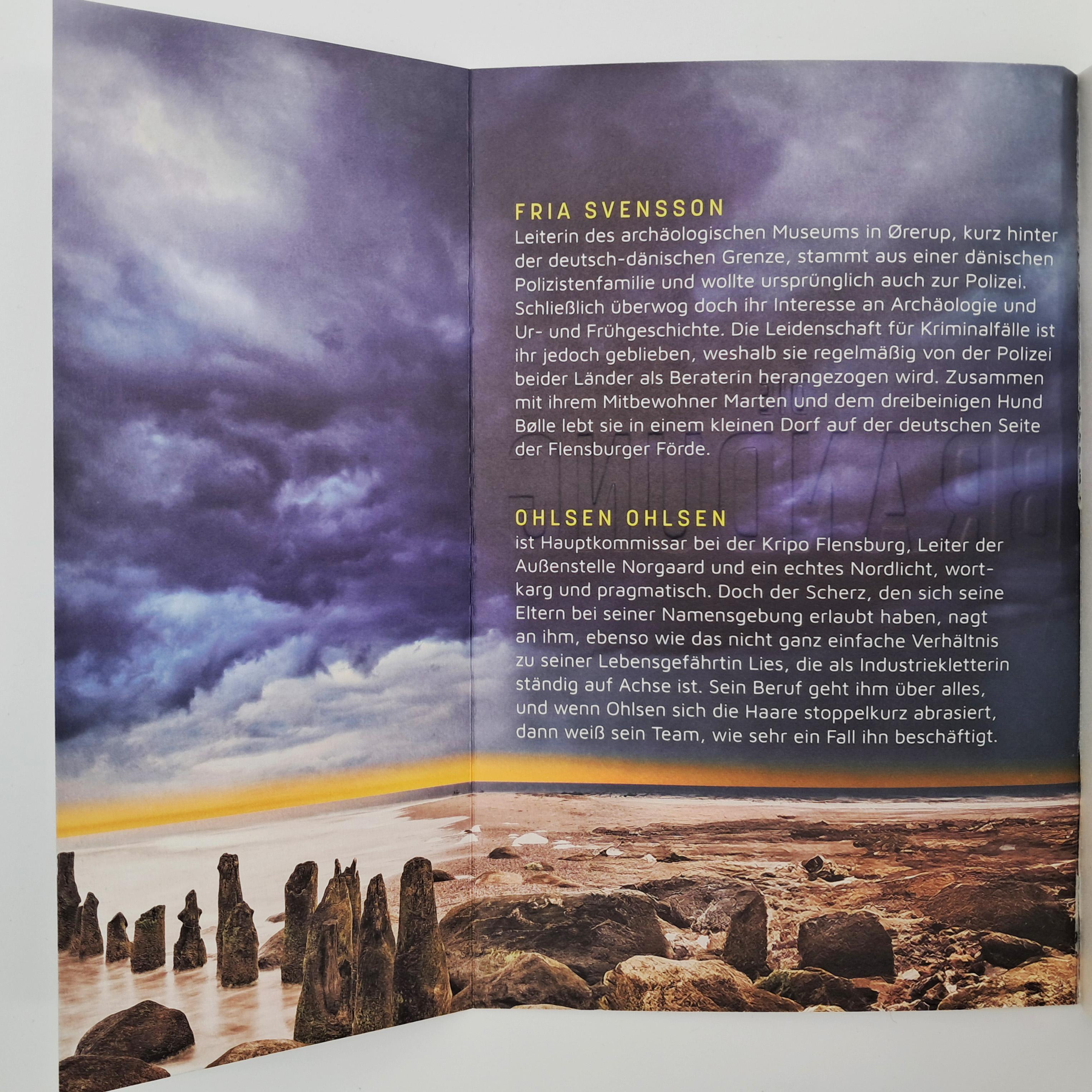 Beispielinhalt (Bild) Die Brandung - Leichenfischer