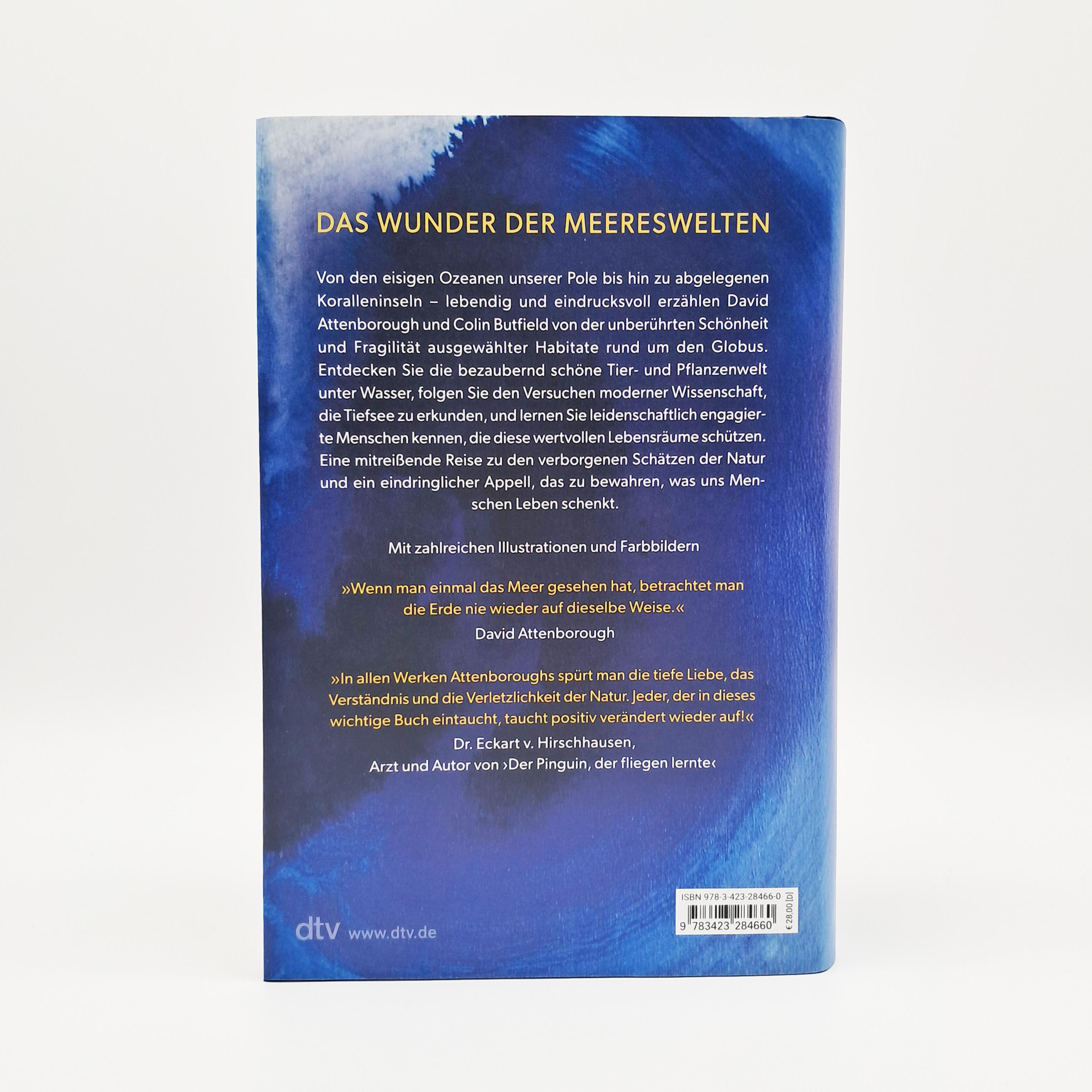 Beispielinhalt (Bild) Ozeane