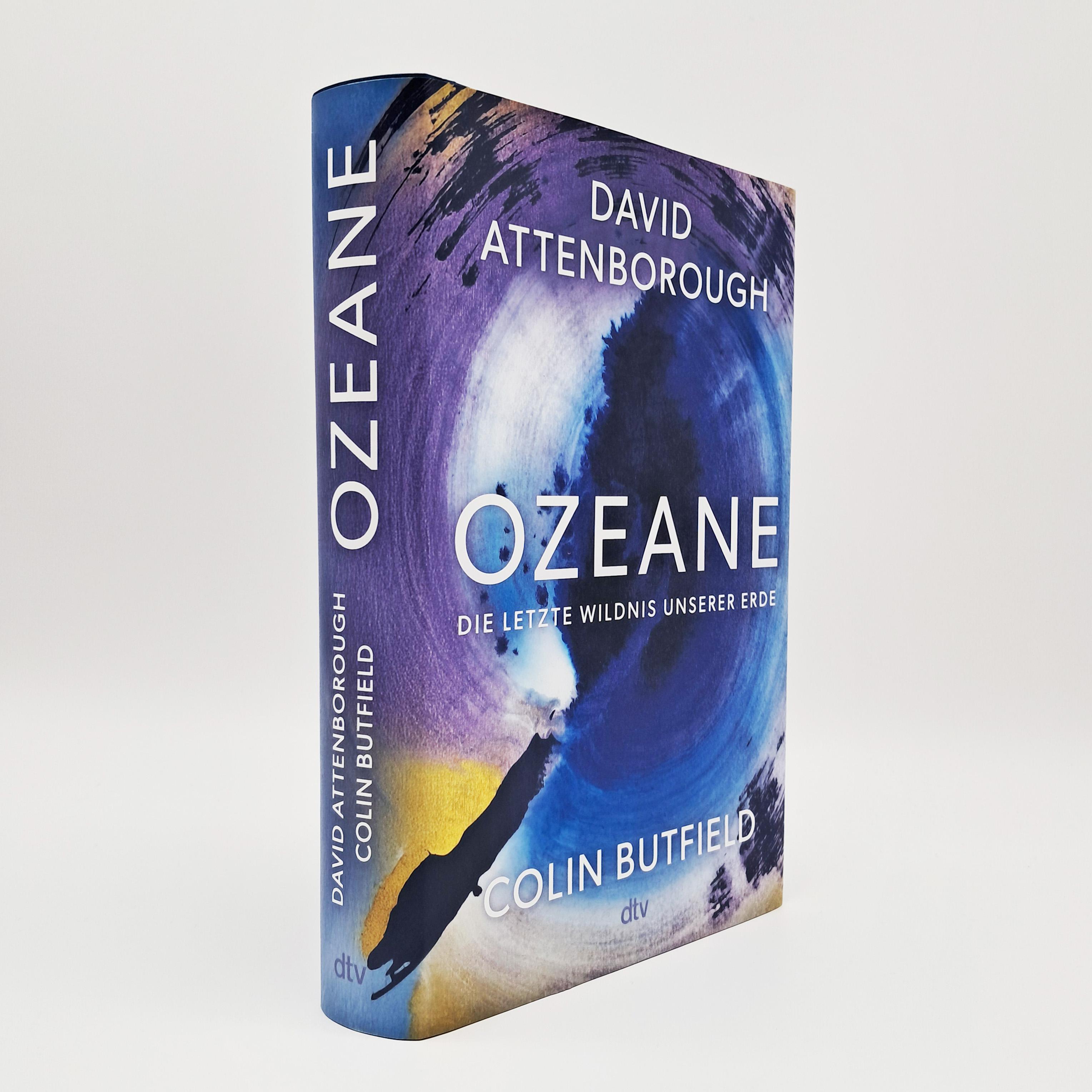 Beispielinhalt (Bild) Ozeane