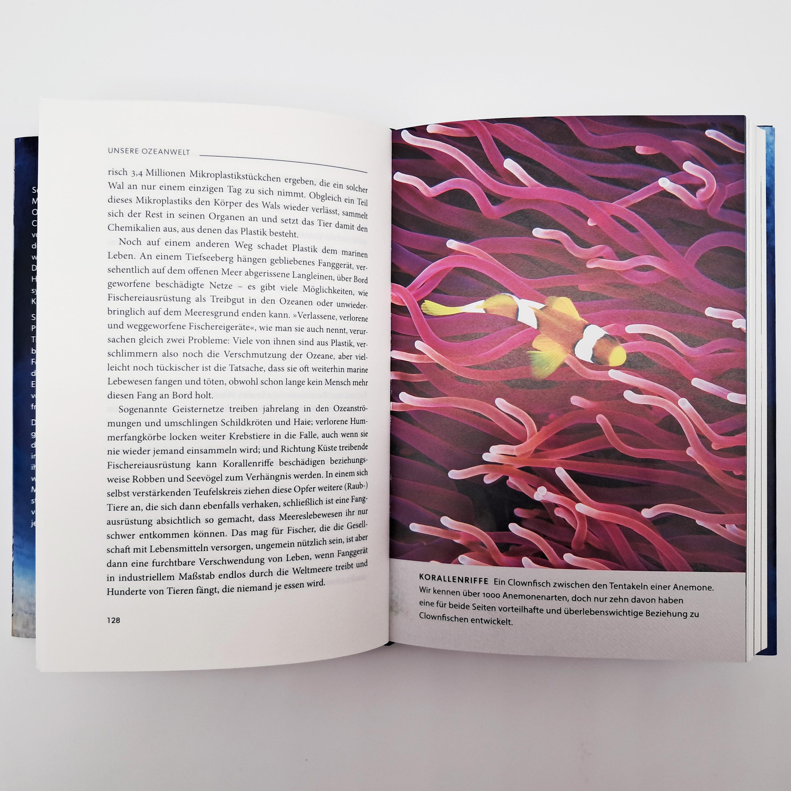 Beispielinhalt (Bild) Ozeane