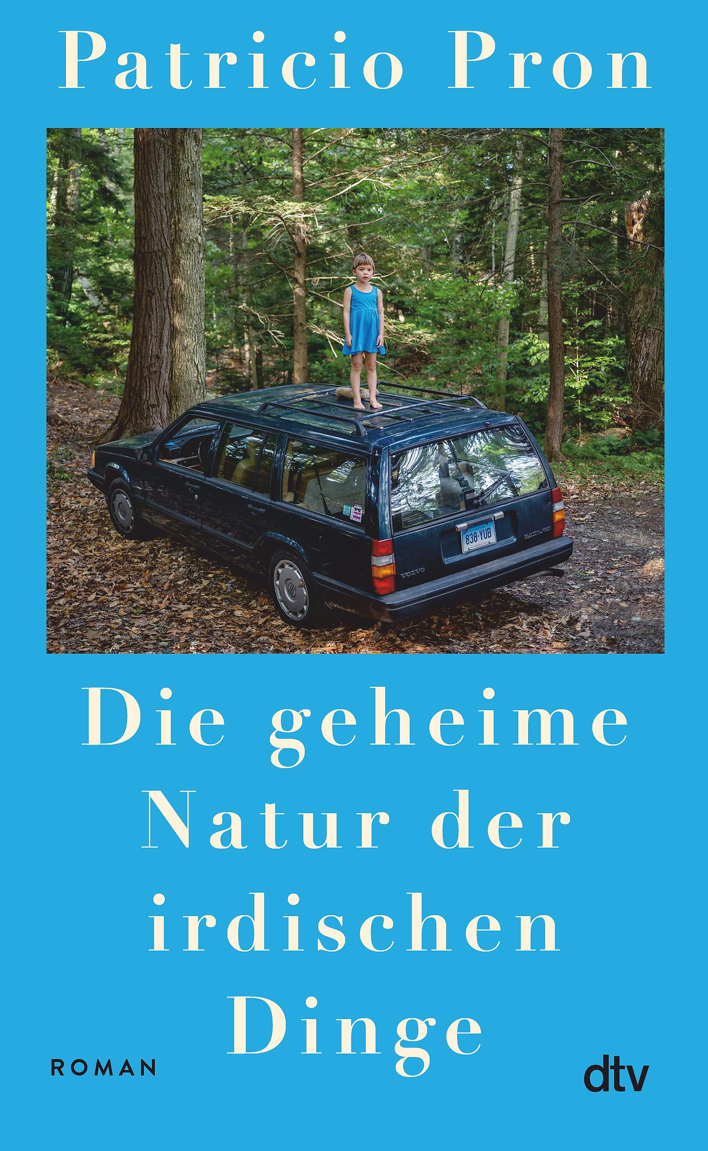 Vorderes Coverbild Die geheime Natur der irdischen Dinge