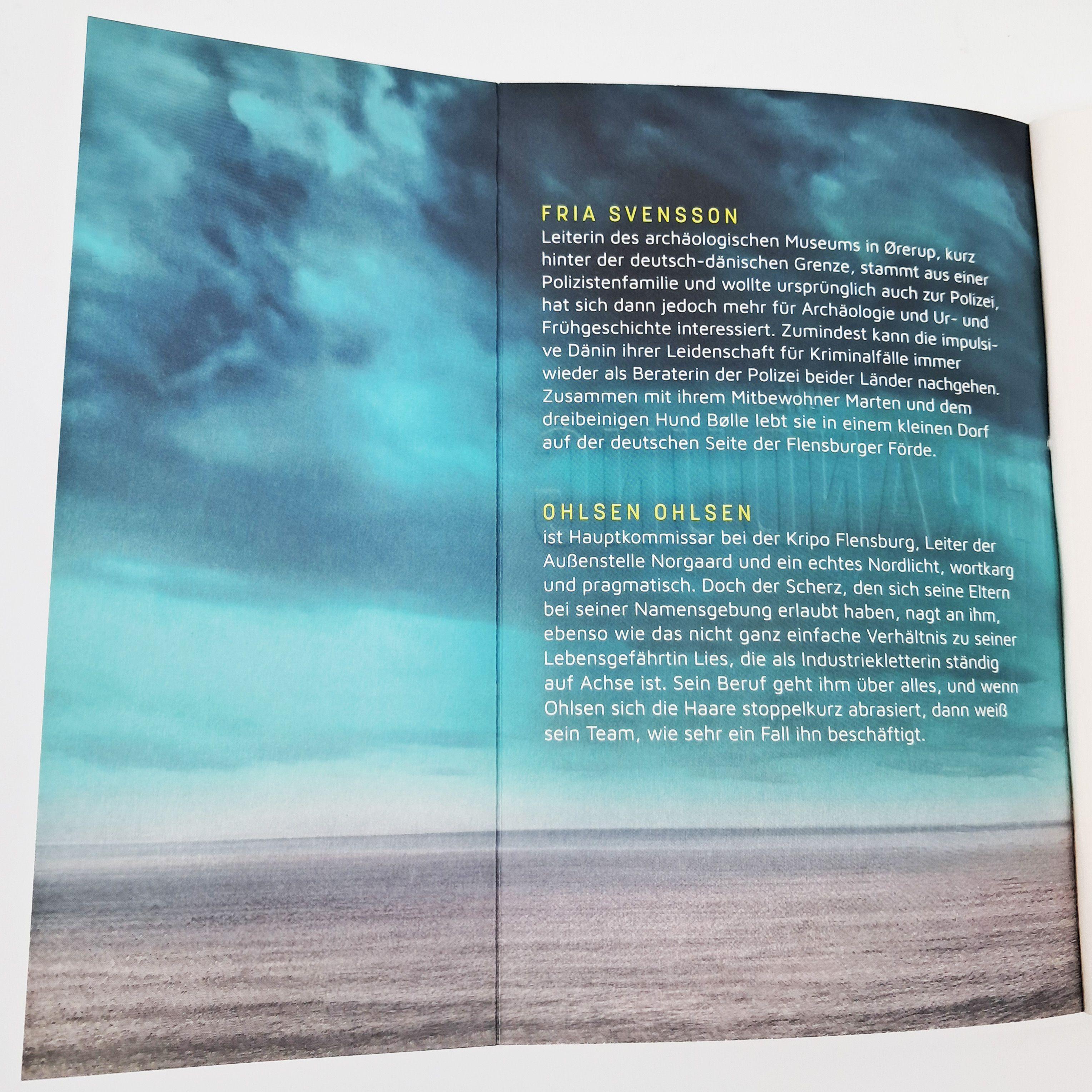 Beispielinhalt (Bild) Die Brandung - Nebelschwester