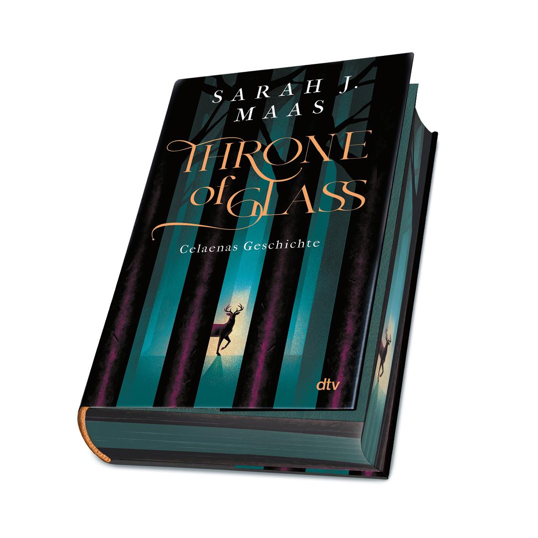 Beispielinhalt (Bild) Throne of Glass - Celaenas Geschichte