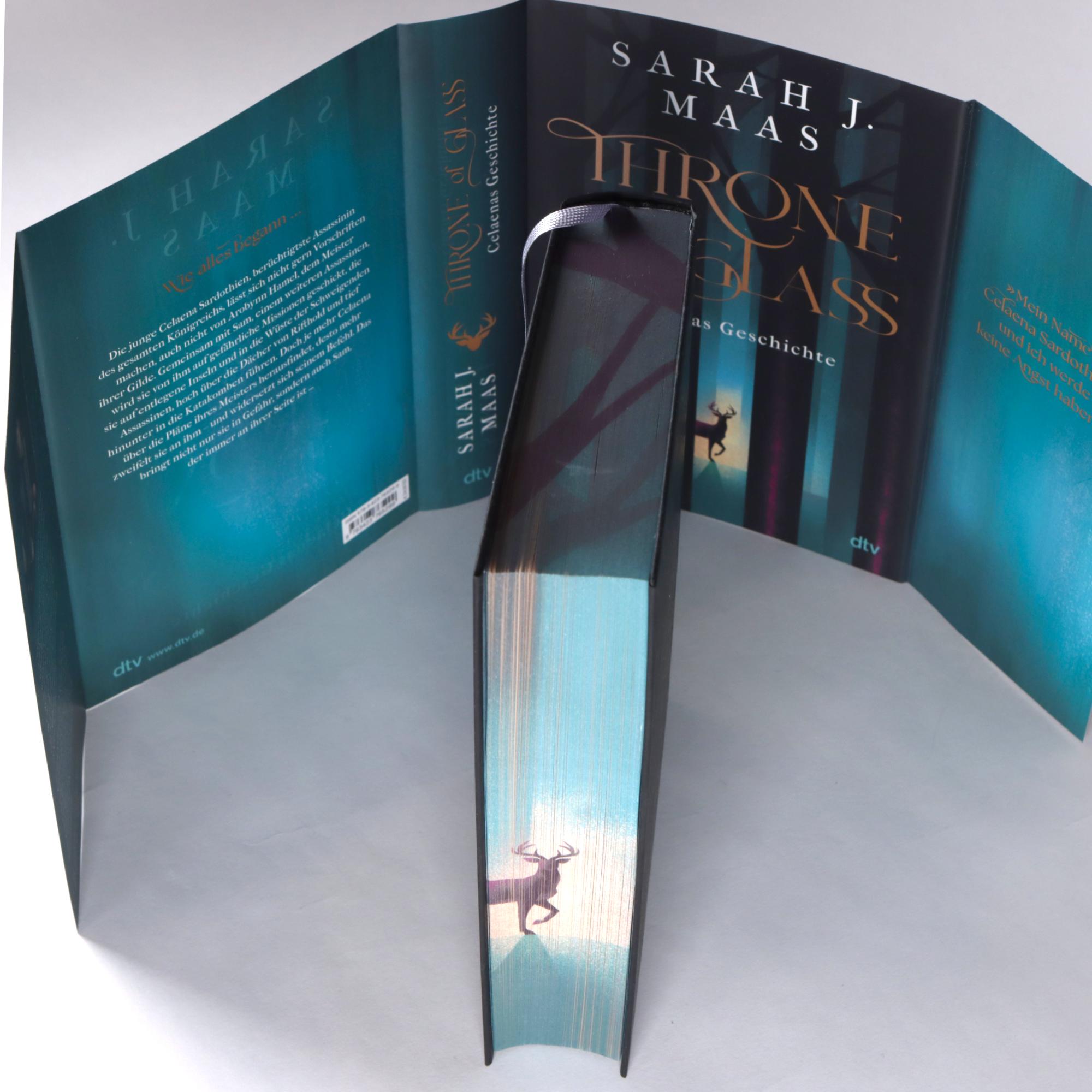 Beispielinhalt (Bild) Throne of Glass - Celaenas Geschichte