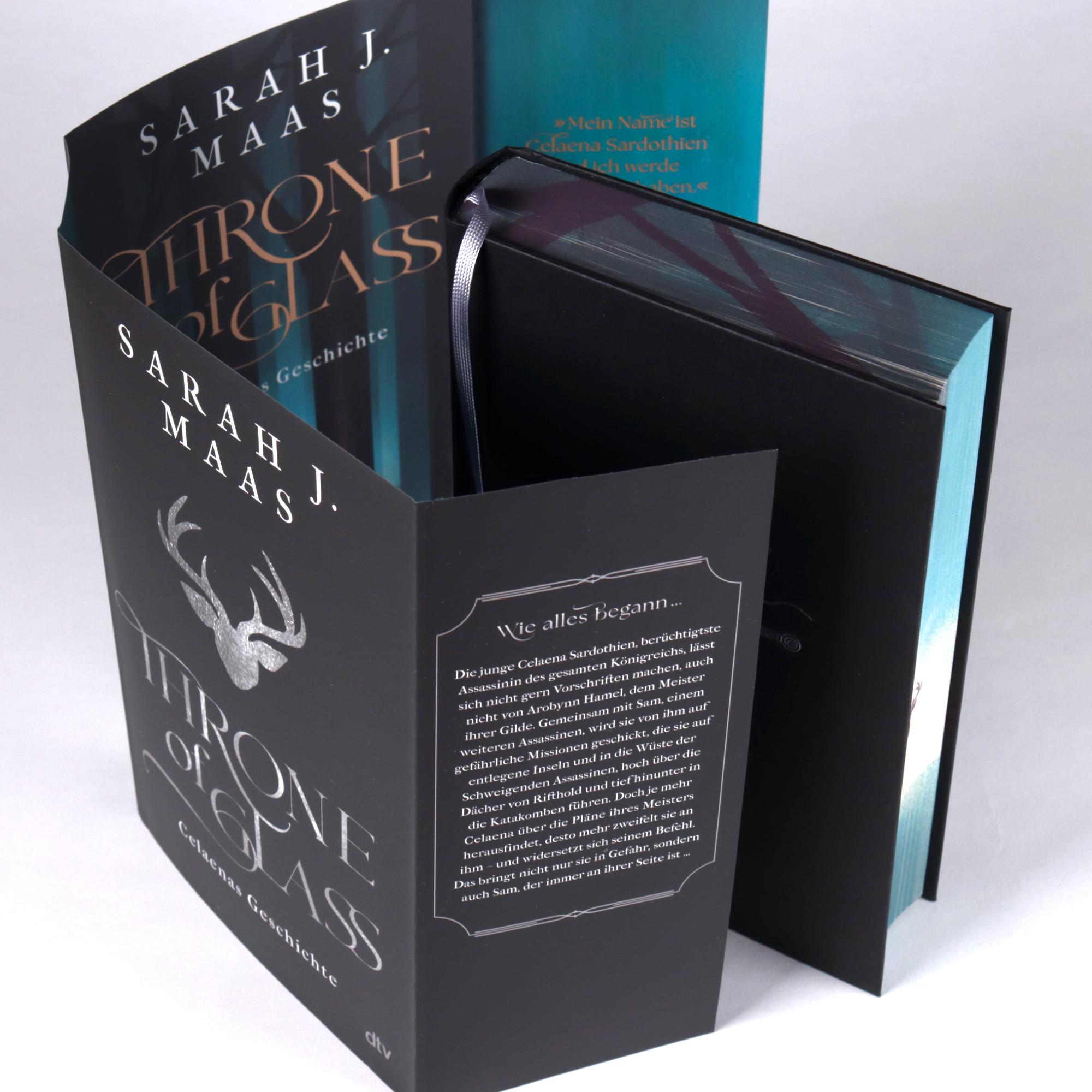 Beispielinhalt (Bild) Throne of Glass - Celaenas Geschichte
