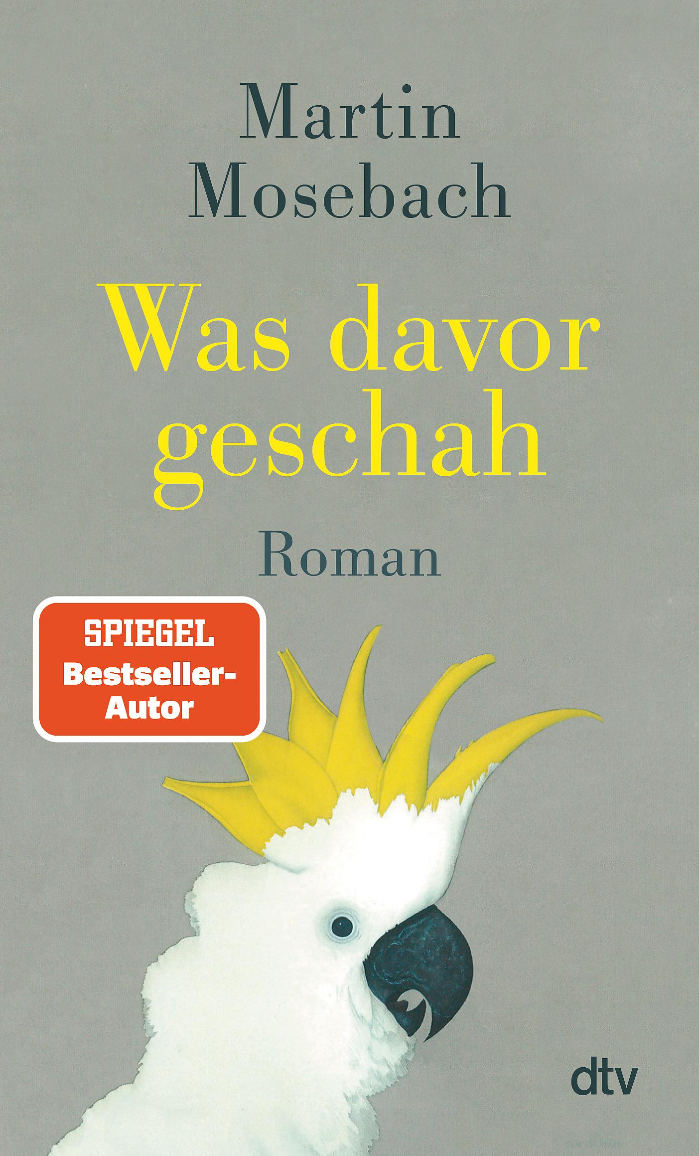 Vorderes Coverbild Was davor geschah