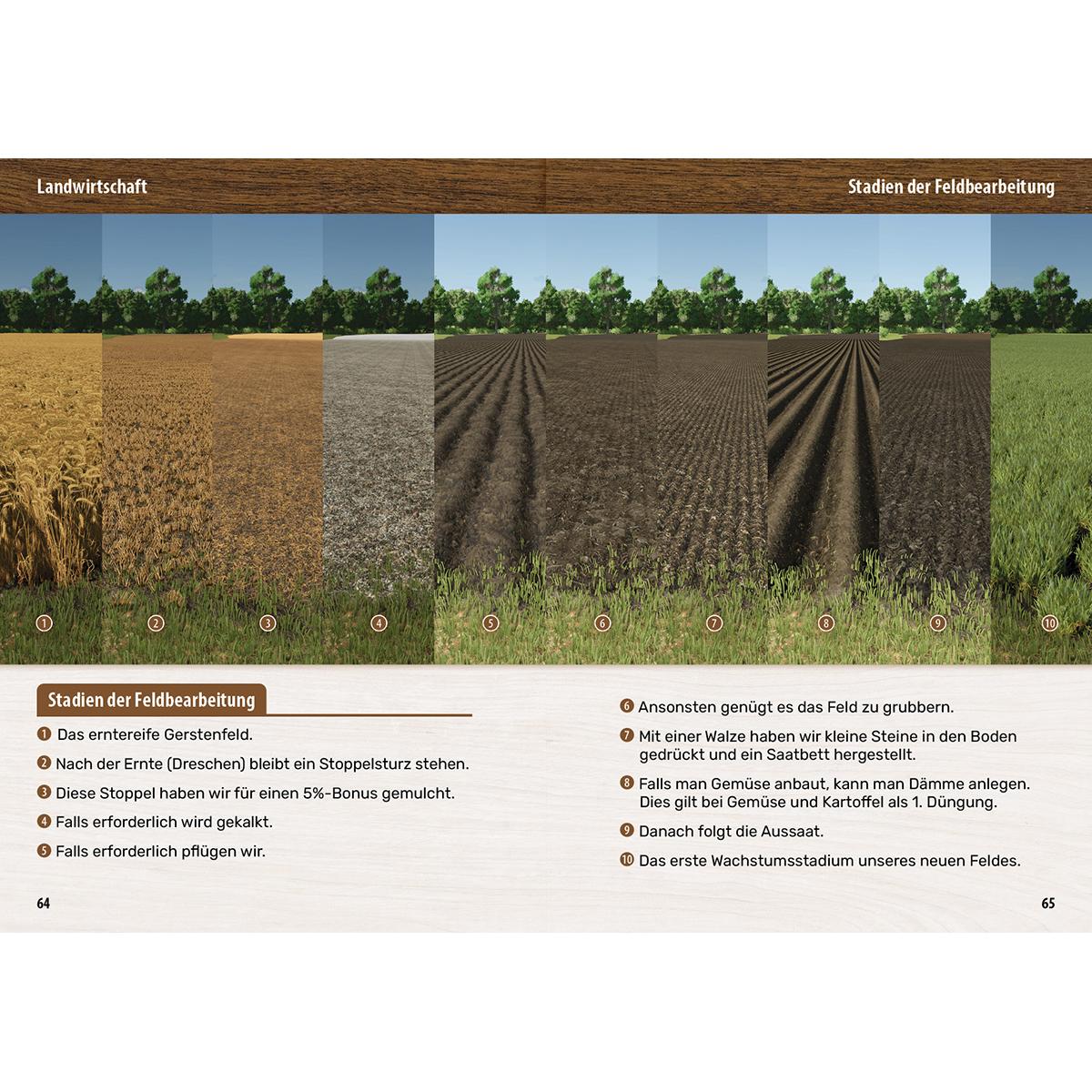 Beispielinhalt (Bild) Landwirtschaftssimulator 25 - Der inoffizielle Guide